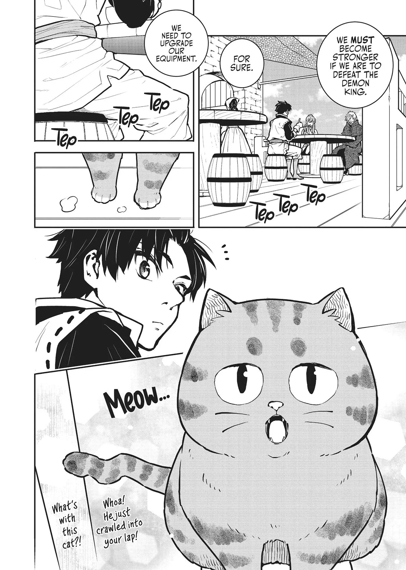Cat on the Hero