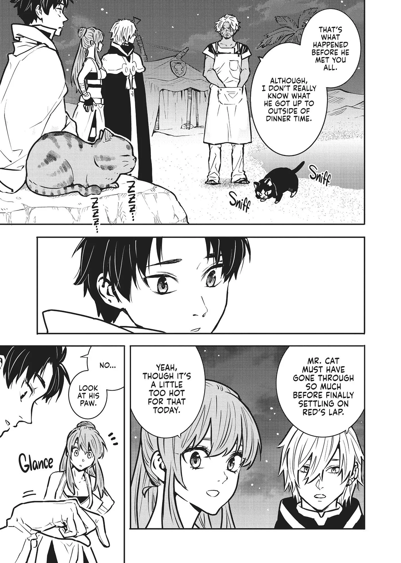 Cat on the Hero