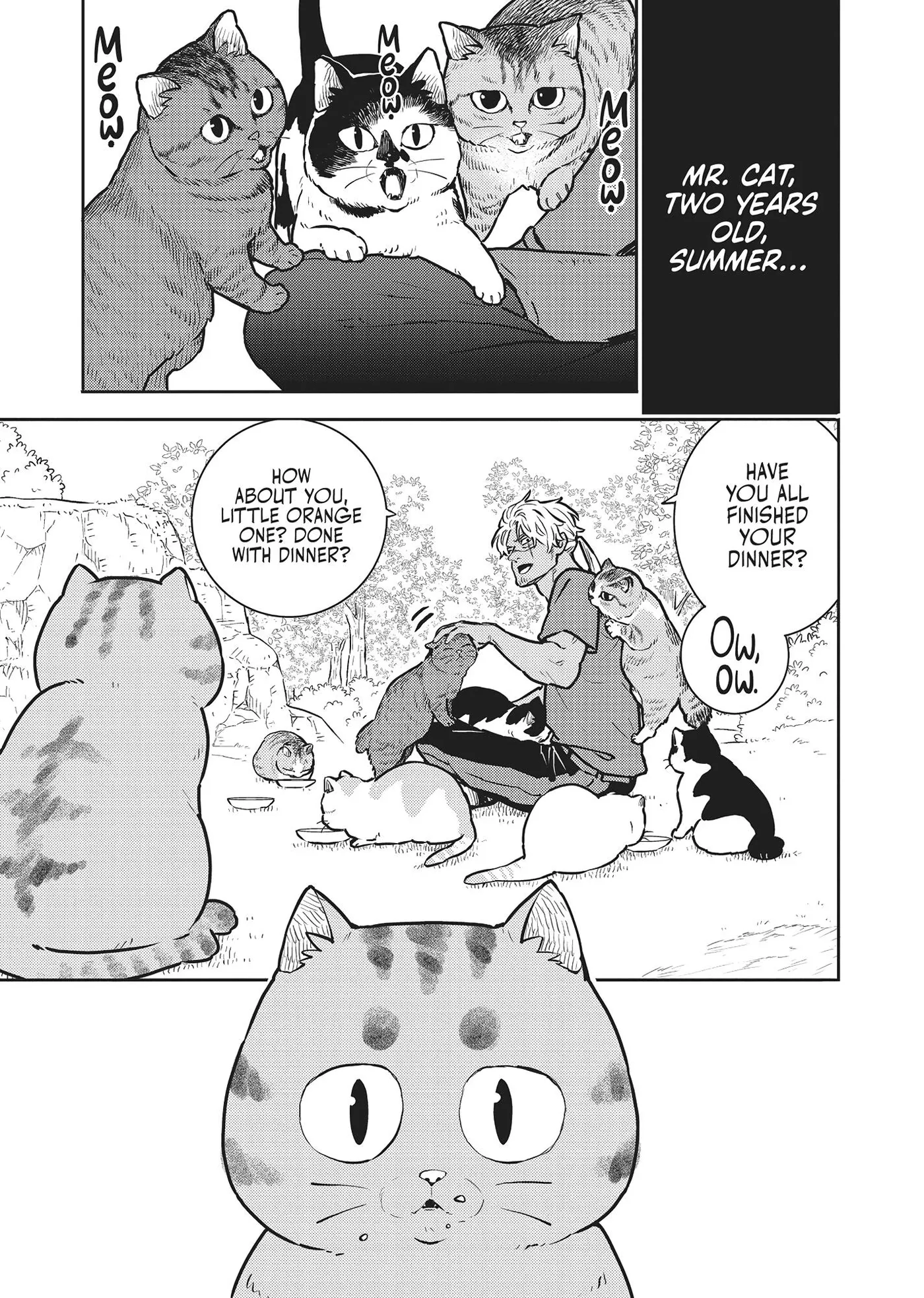 Cat on the Hero