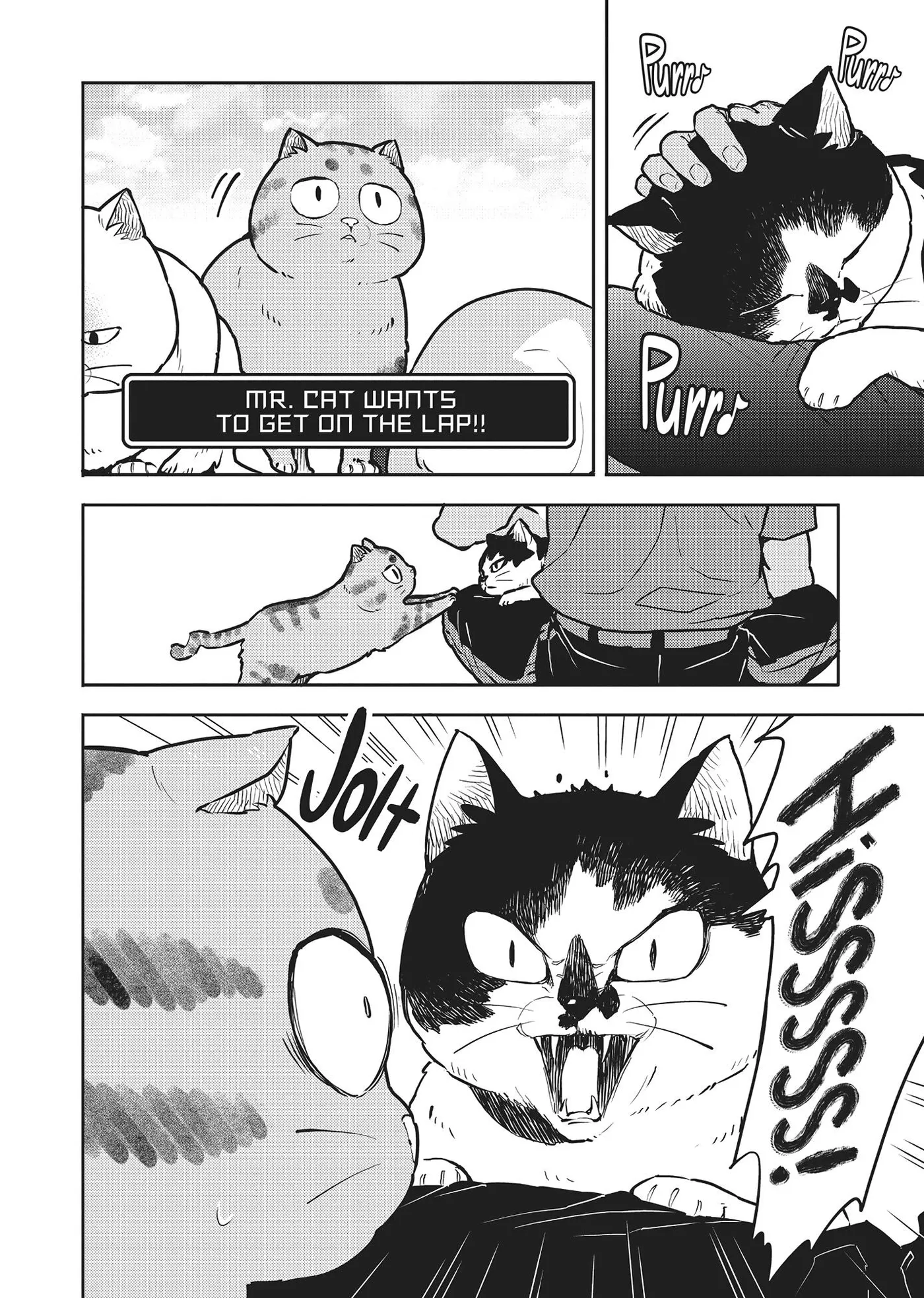 Cat on the Hero
