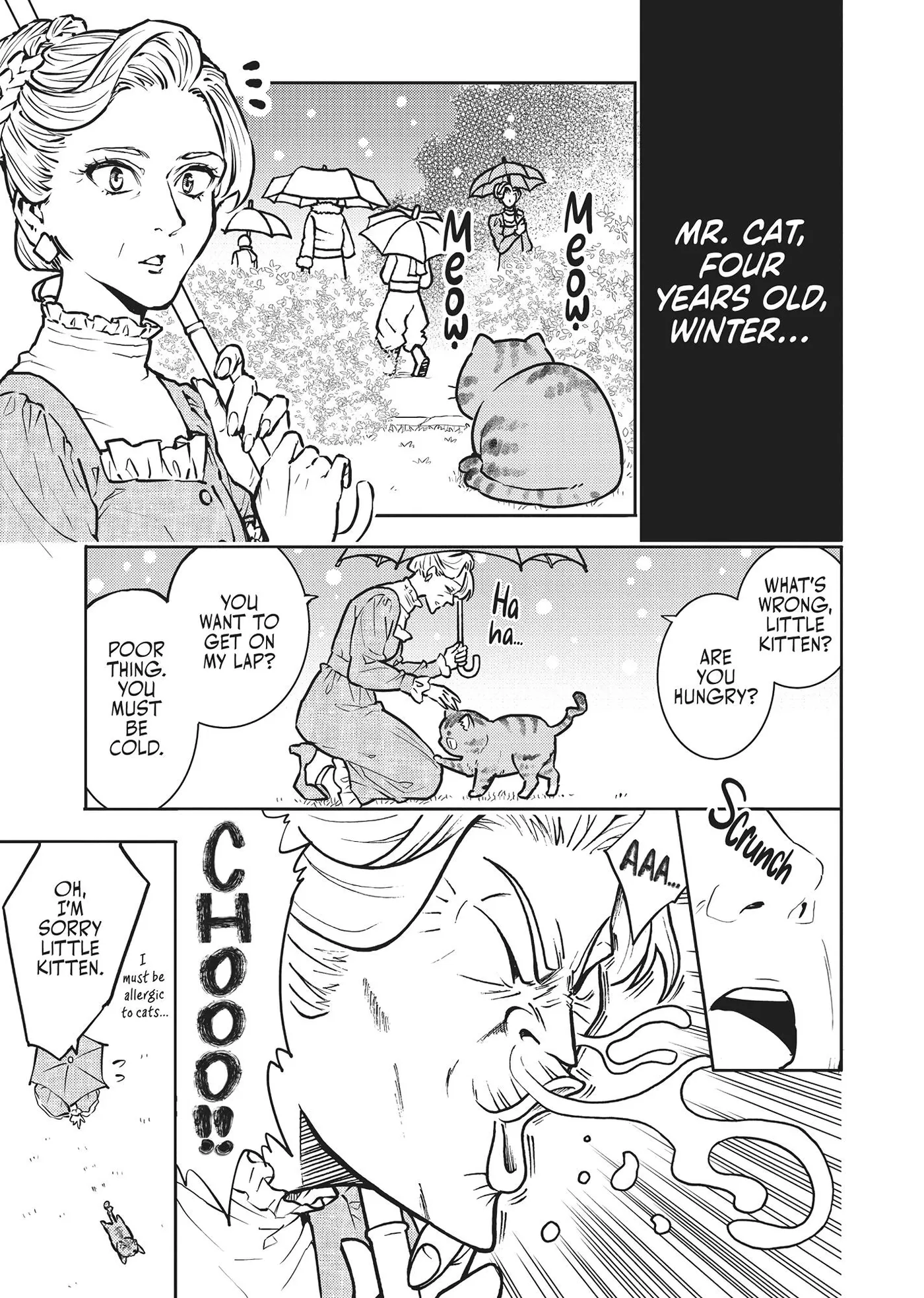 Cat on the Hero