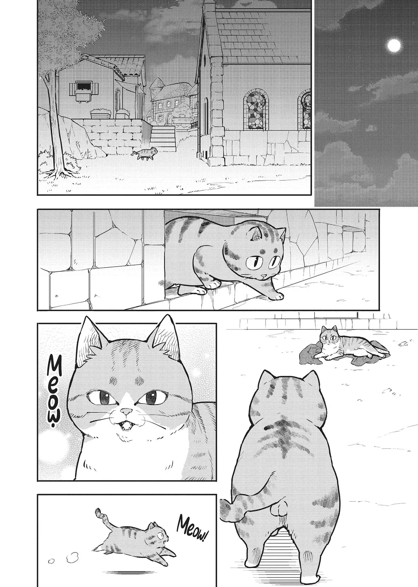 Cat on the Hero