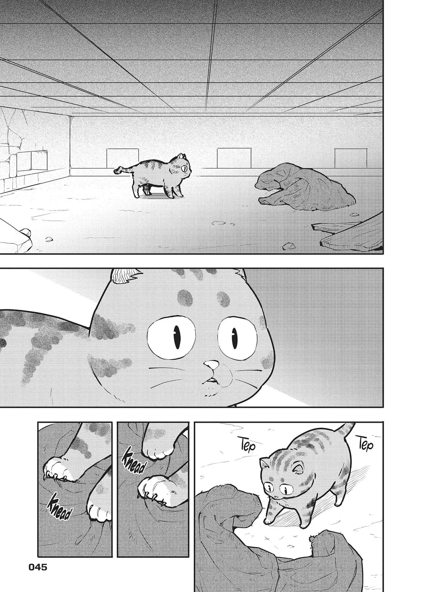 Cat on the Hero