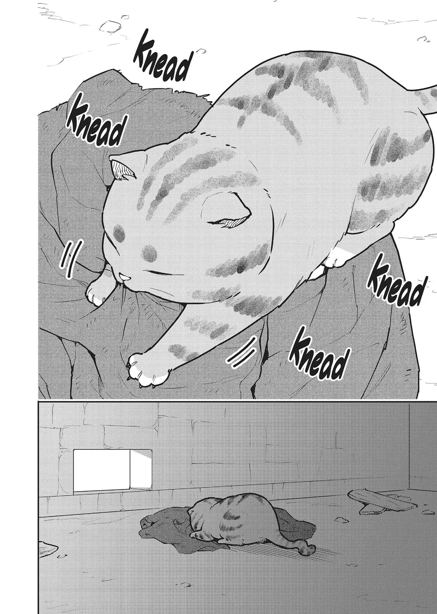 Cat on the Hero