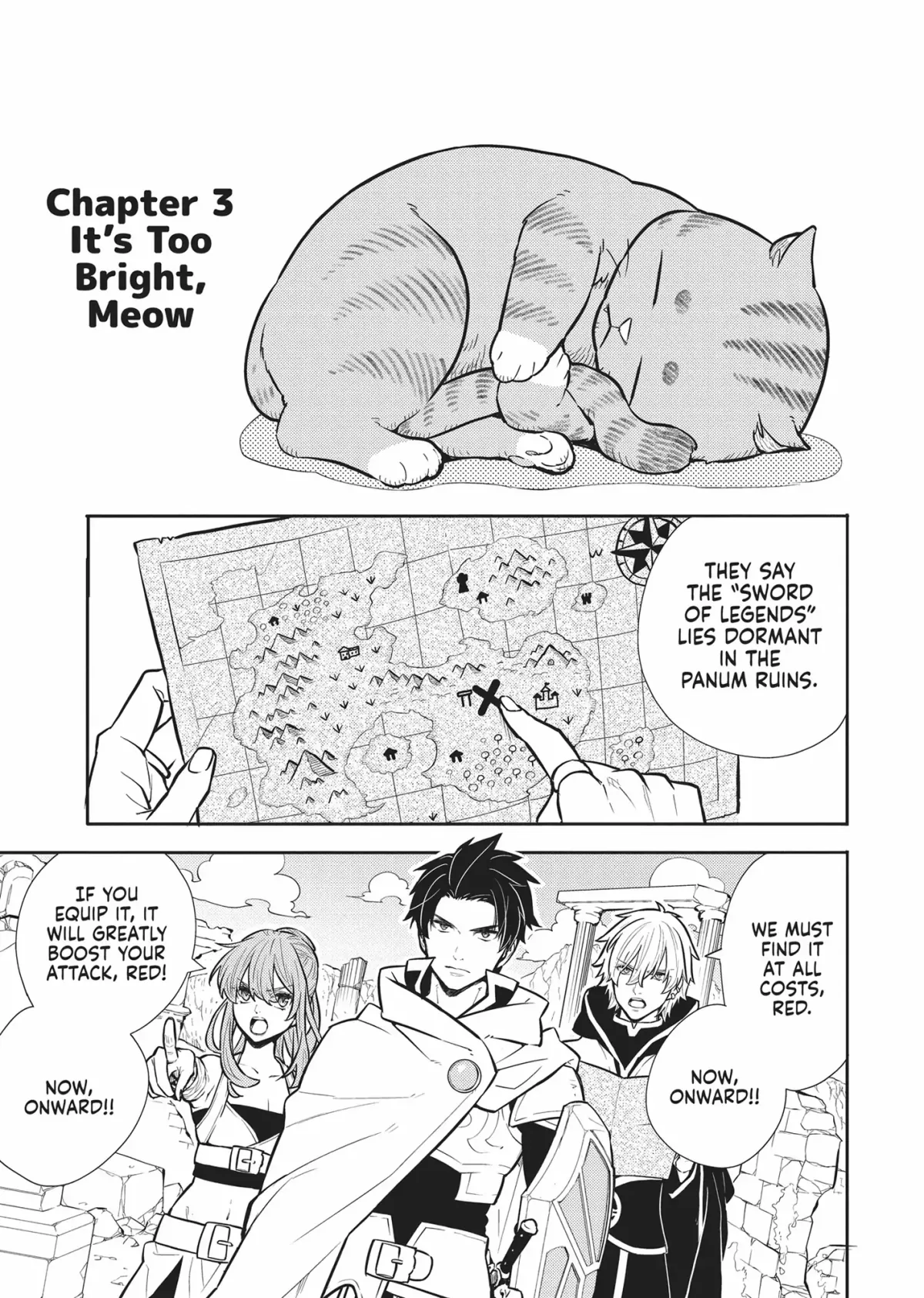 Cat on the Hero