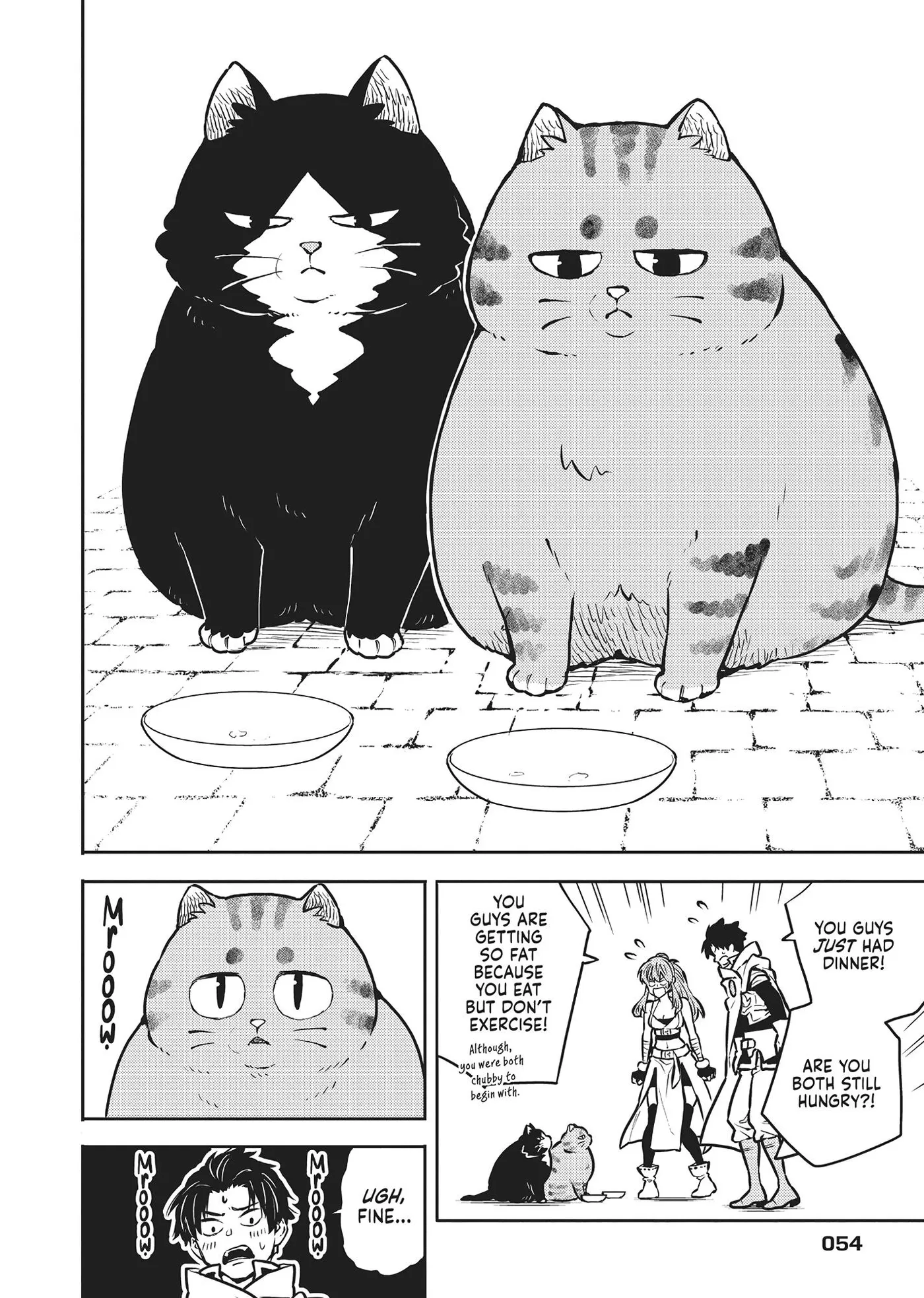 Cat on the Hero