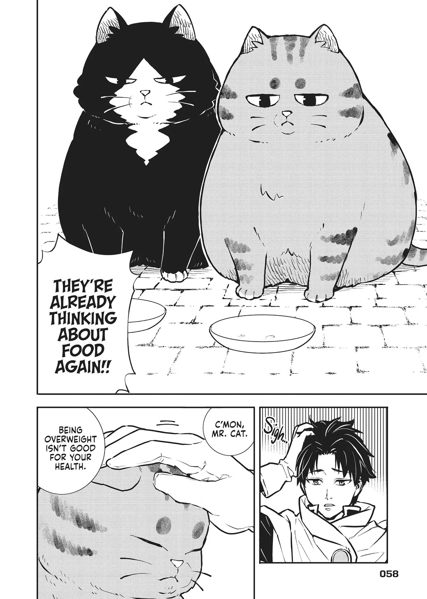 Cat on the Hero
