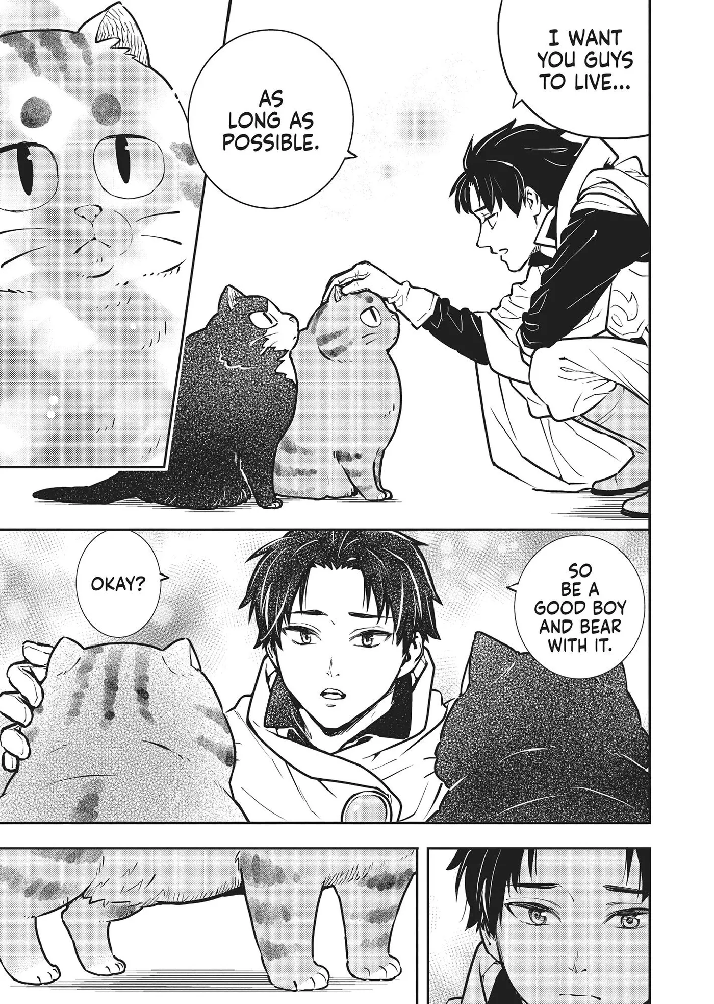 Cat on the Hero