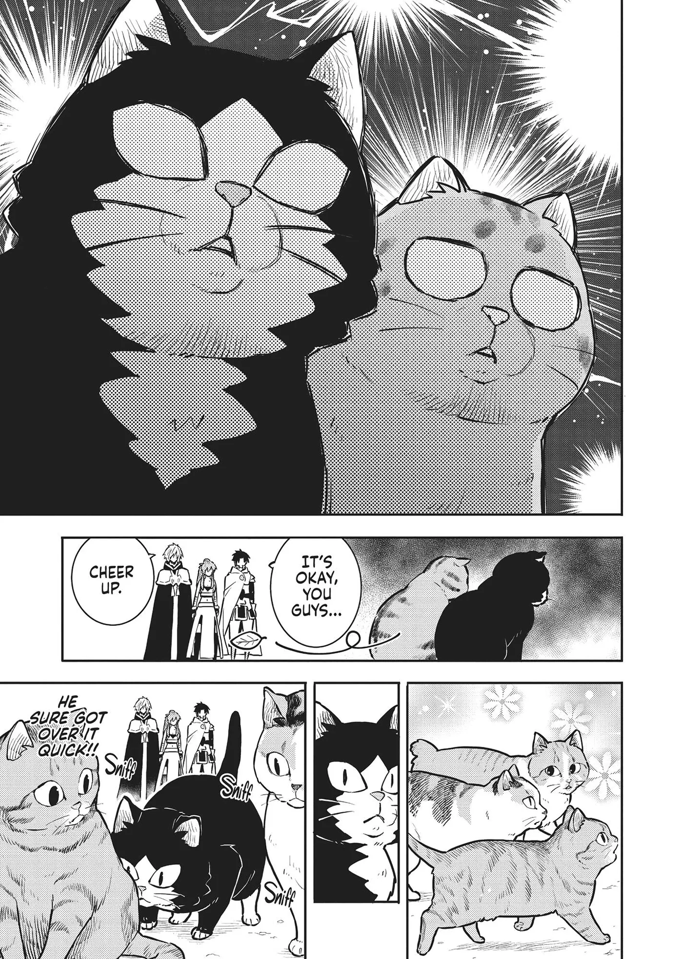 Cat on the Hero