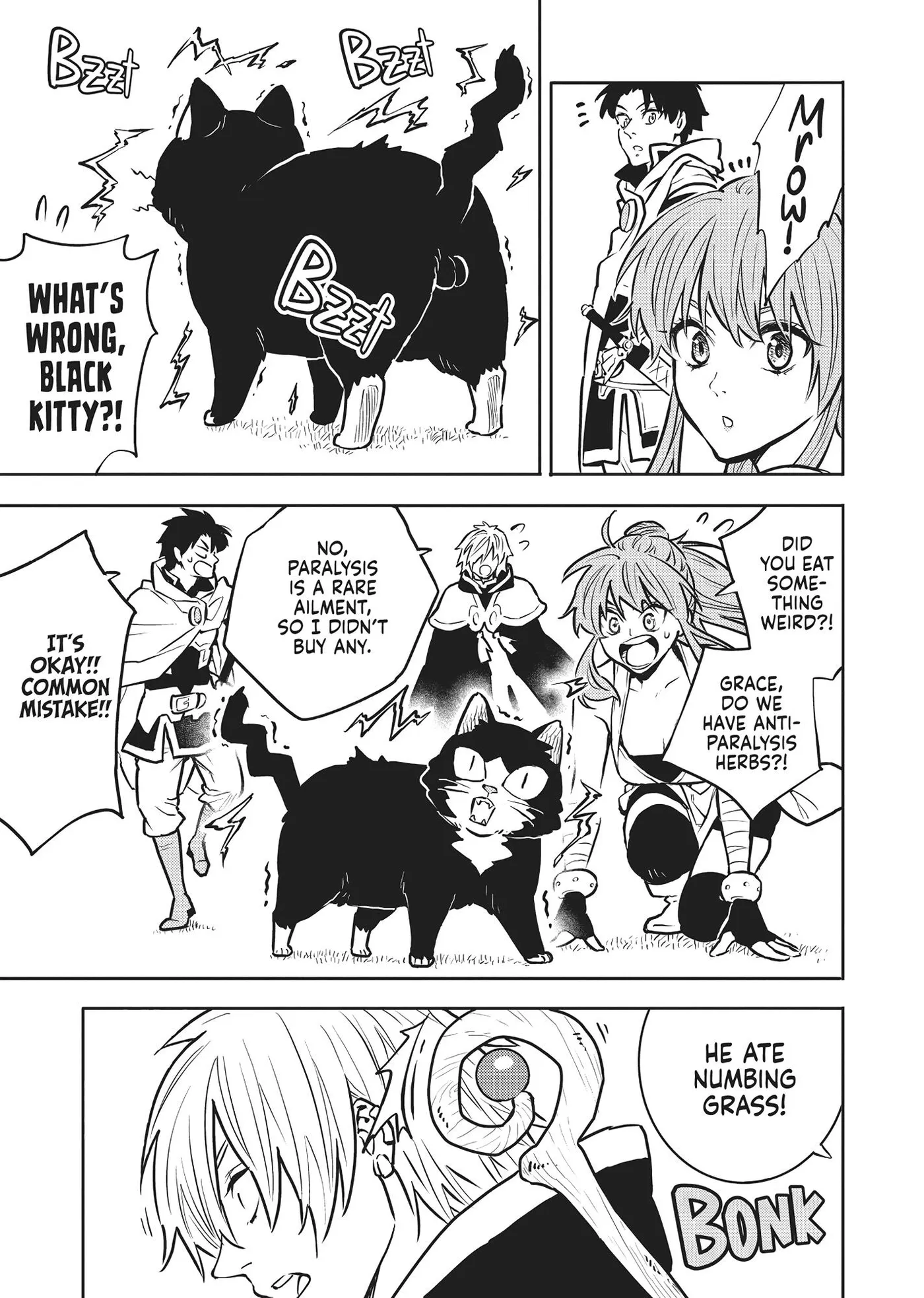 Cat on the Hero
