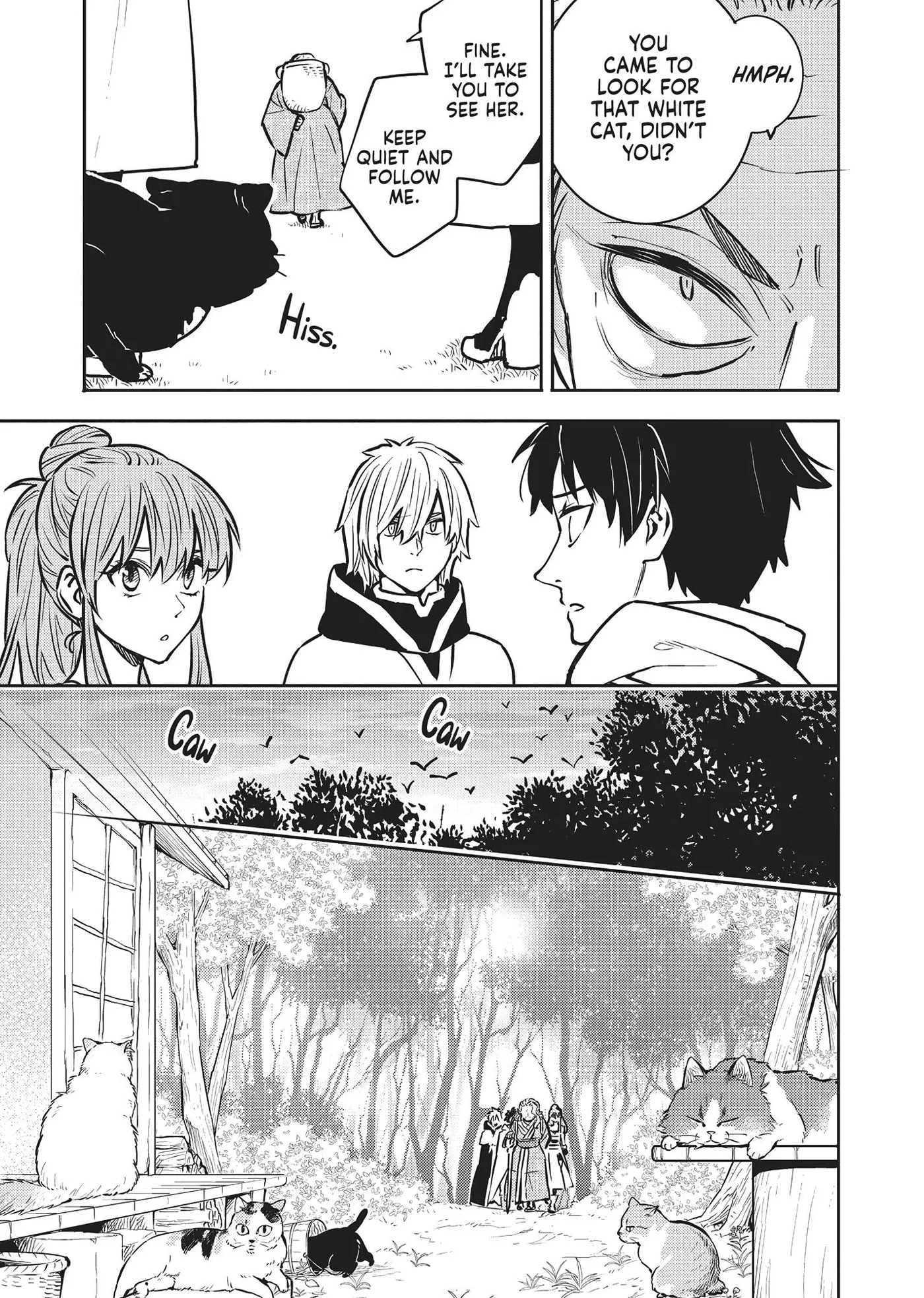 Cat on the Hero