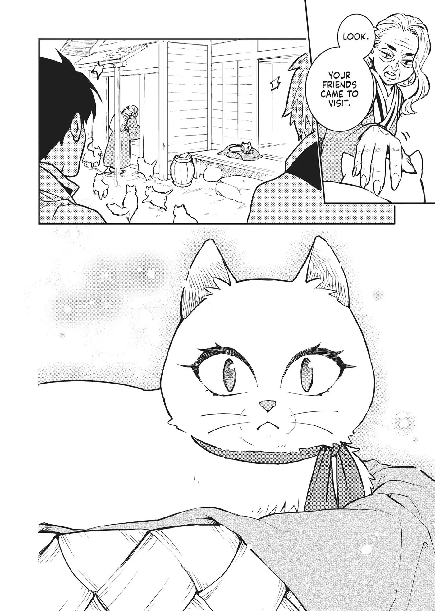 Cat on the Hero