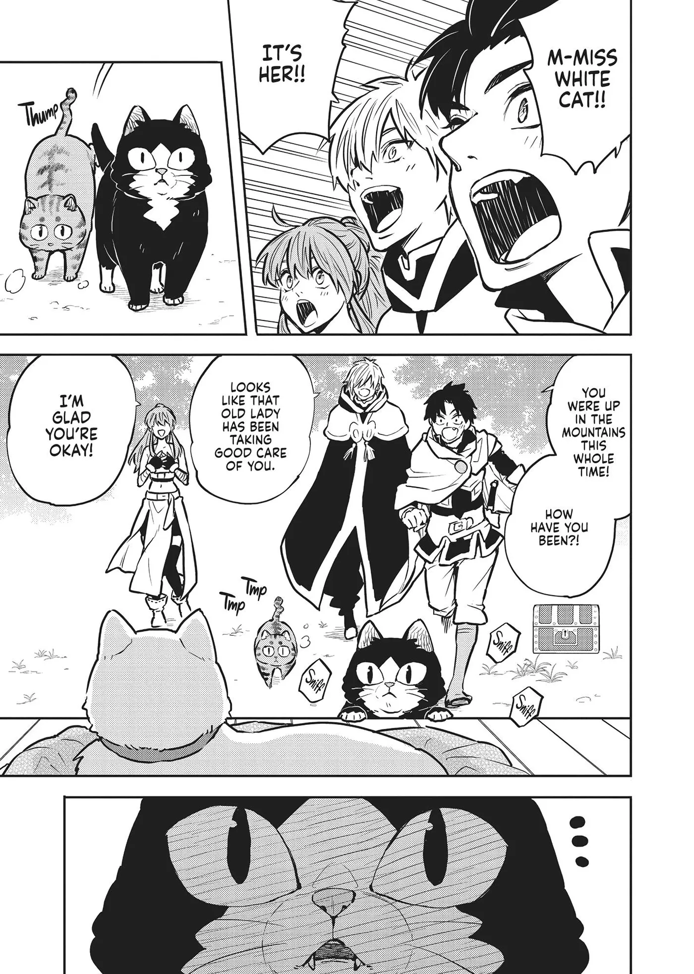 Cat on the Hero