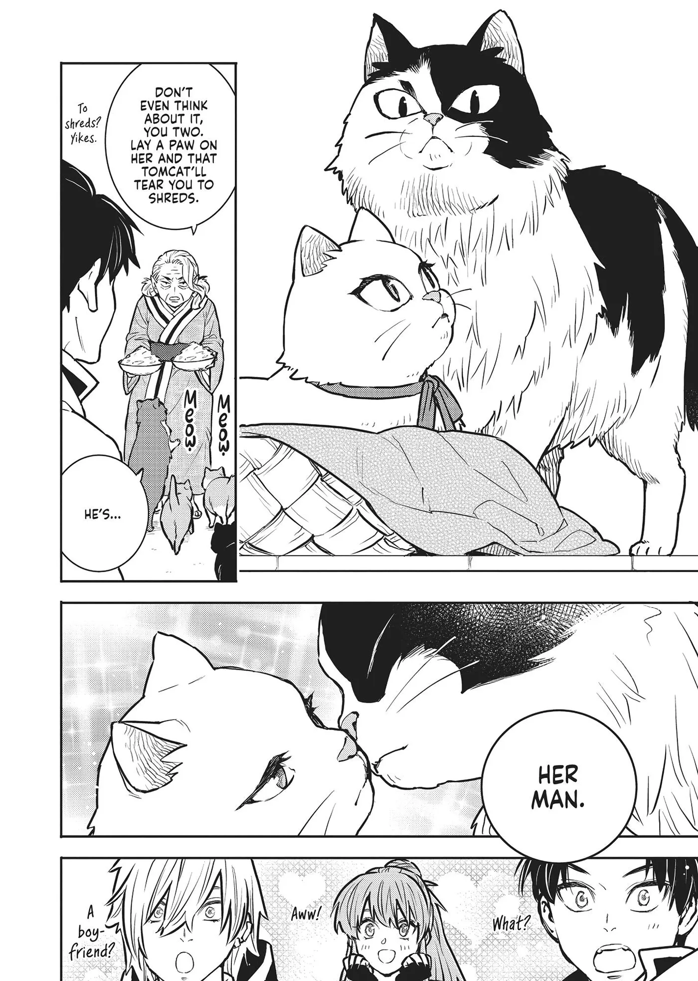 Cat on the Hero