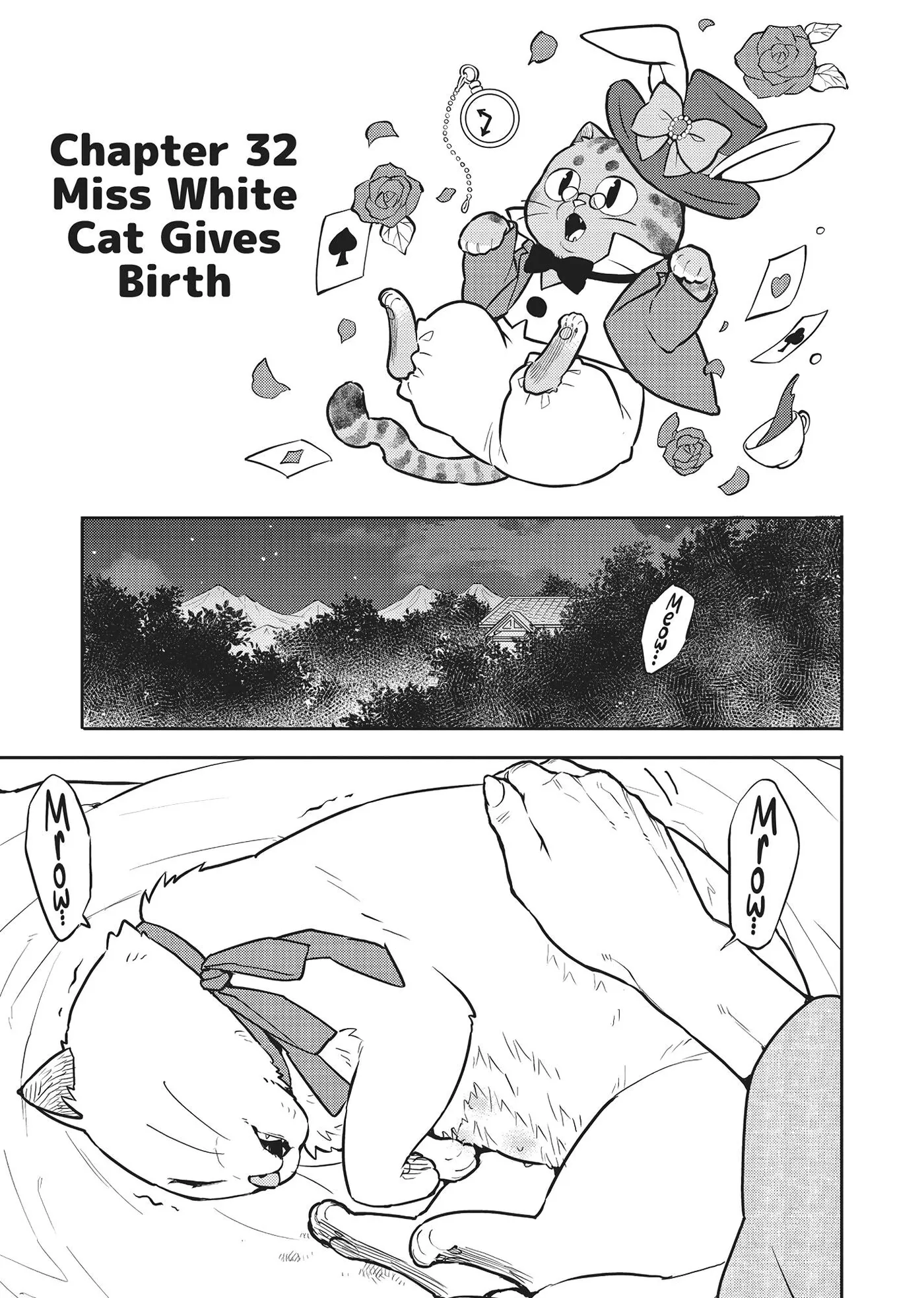 Cat on the Hero