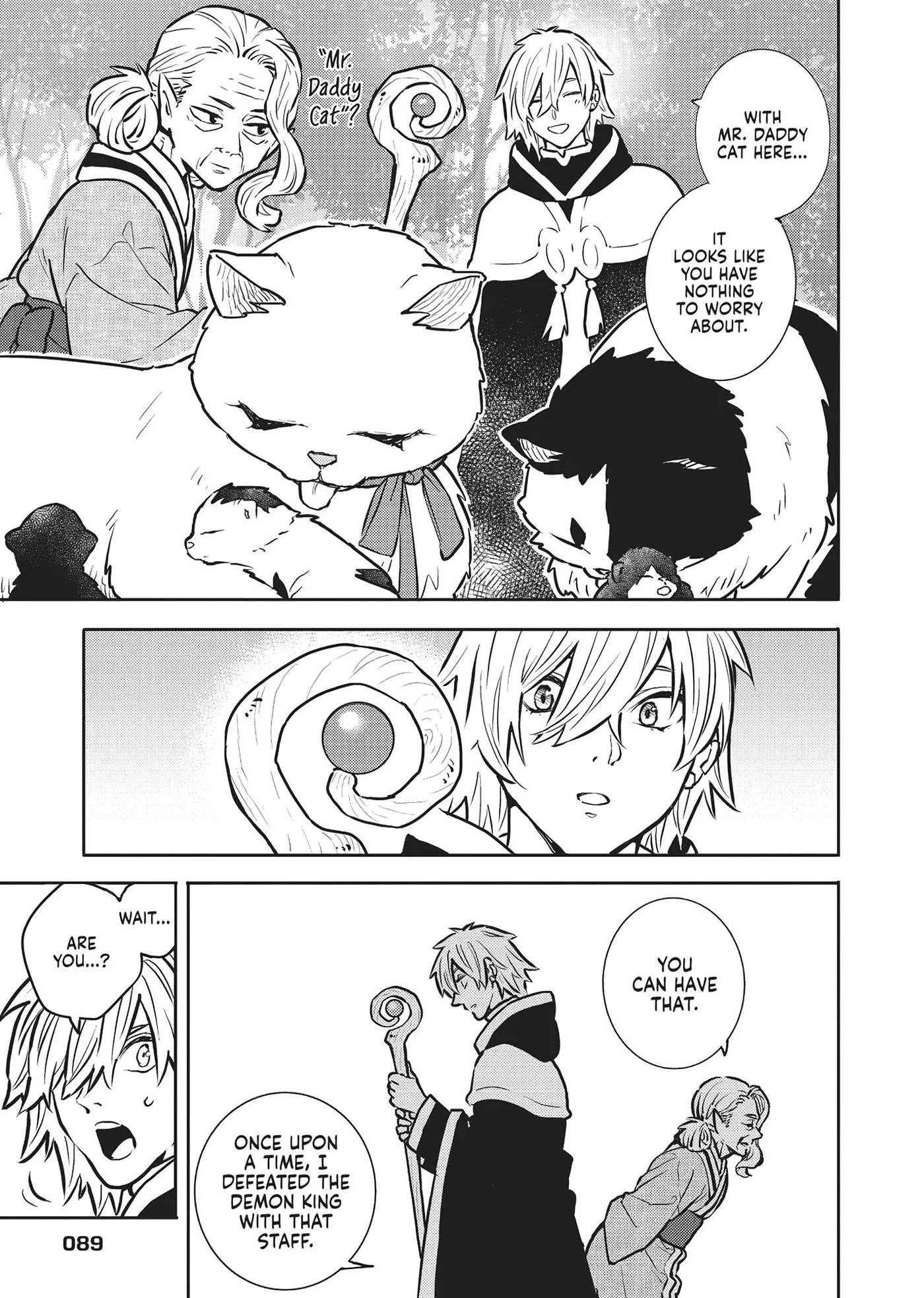 Cat on the Hero