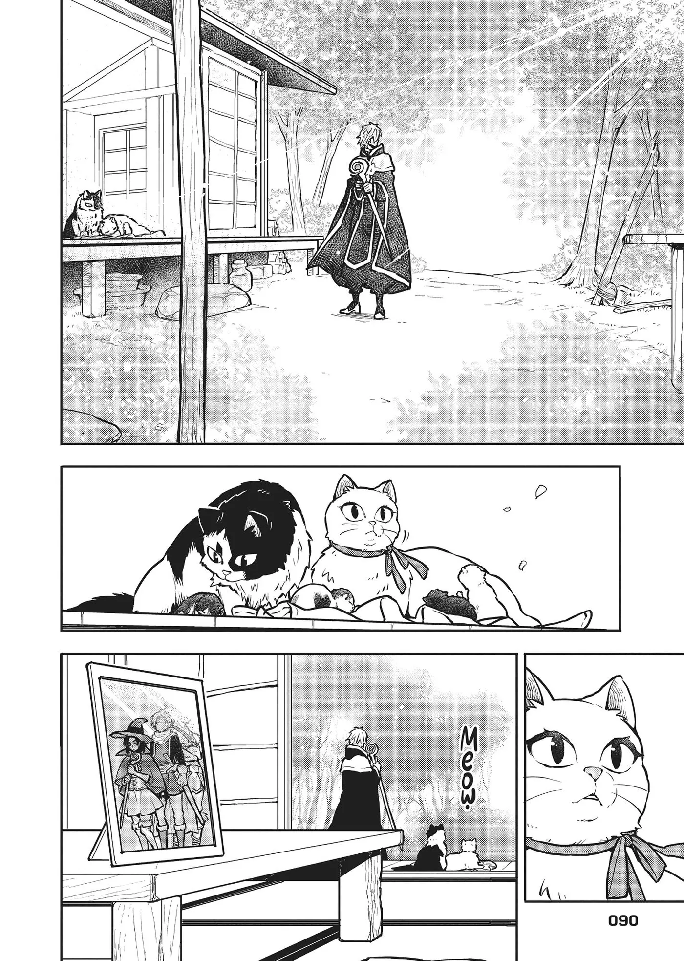 Cat on the Hero