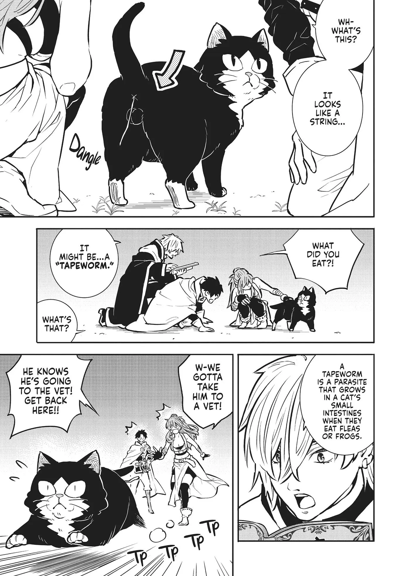 Cat on the Hero