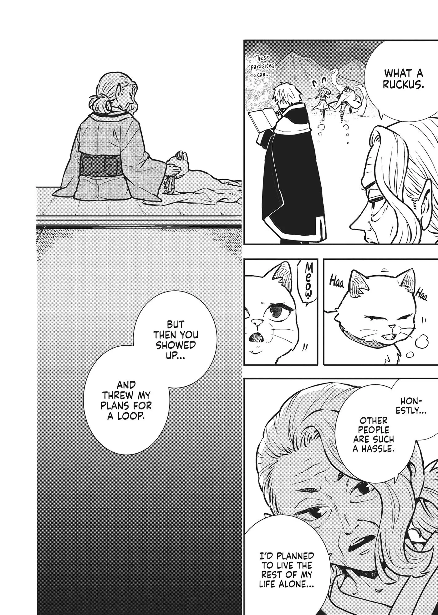 Cat on the Hero