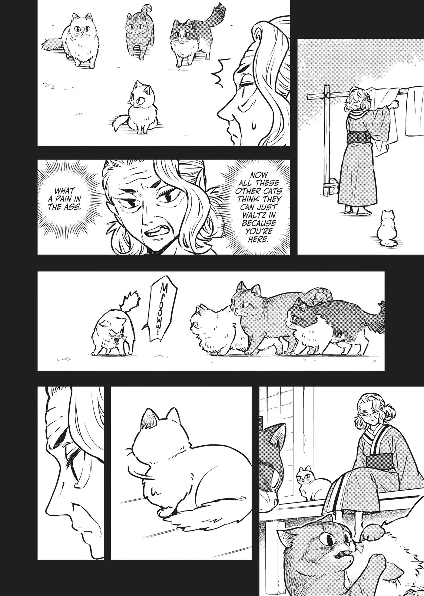 Cat on the Hero