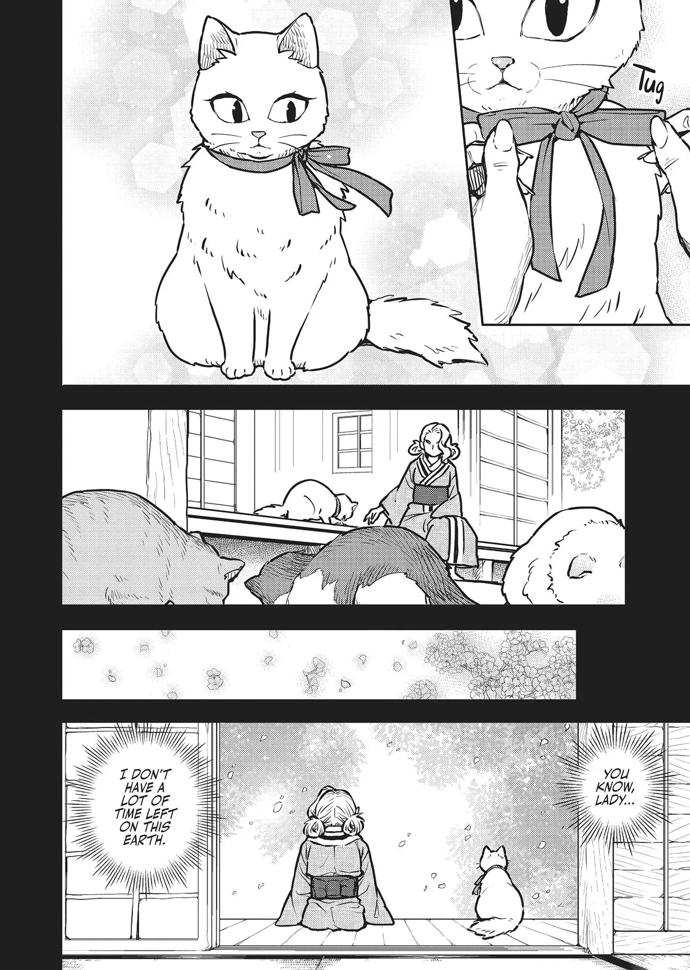 Cat on the Hero