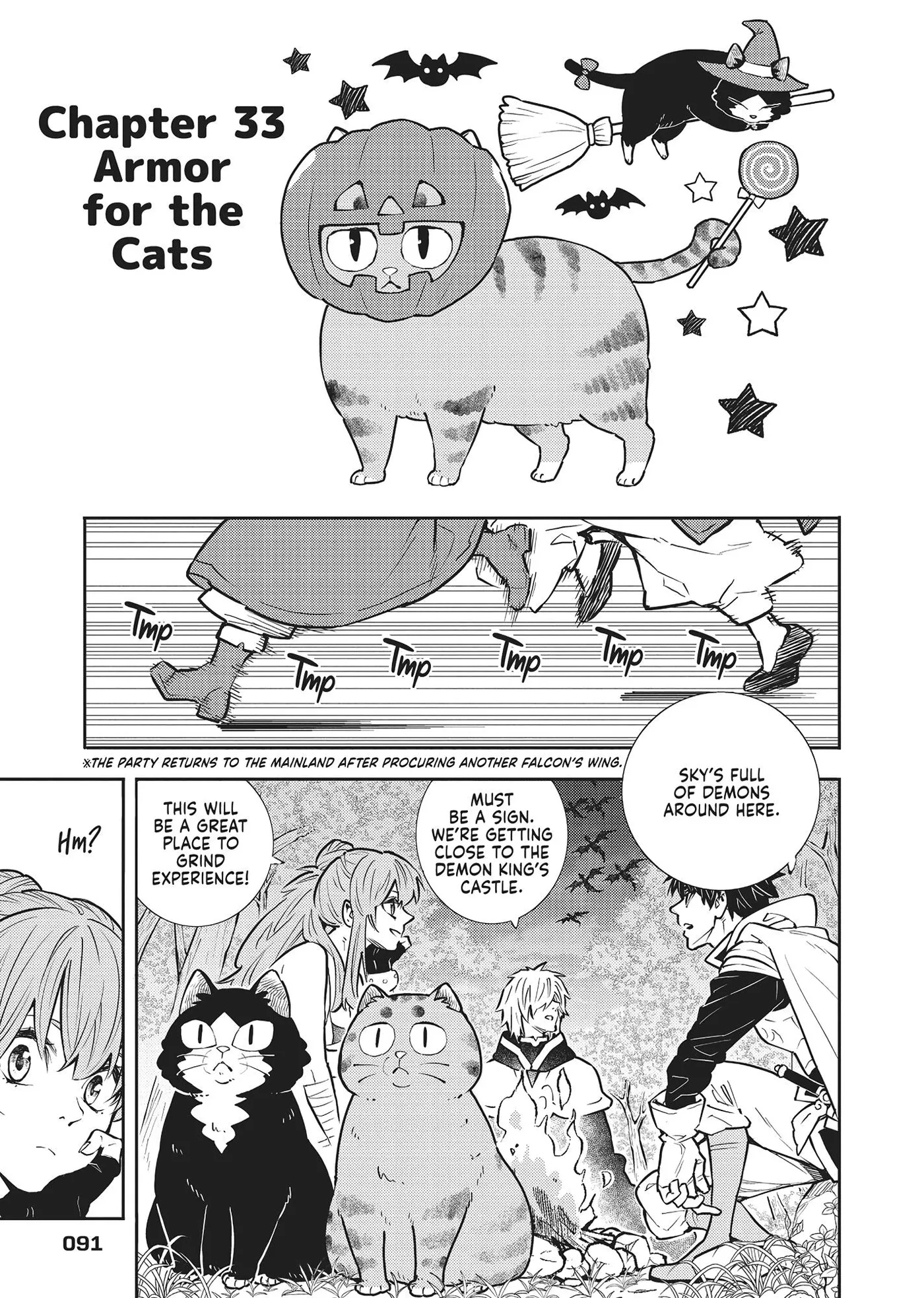 Cat on the Hero