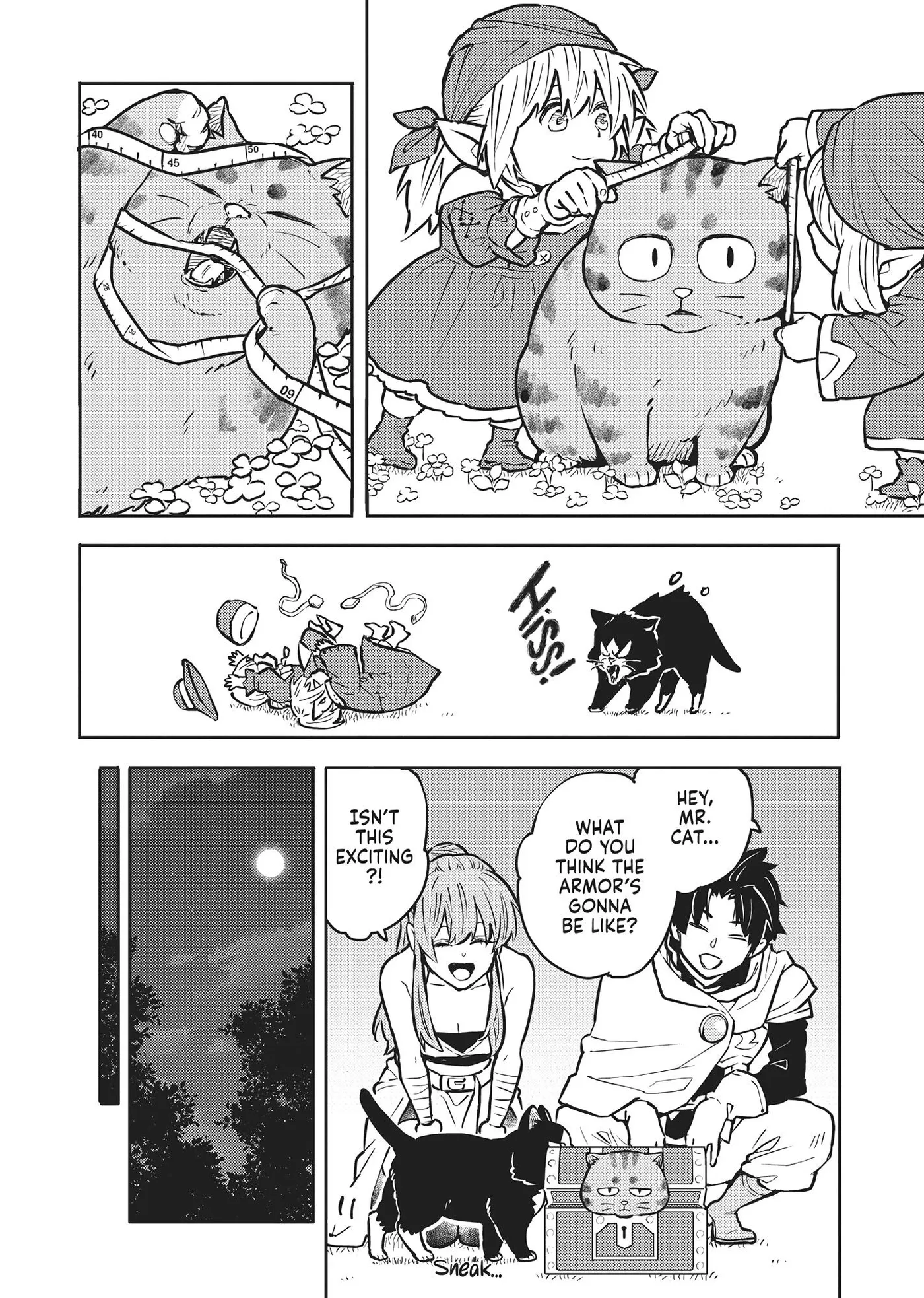 Cat on the Hero