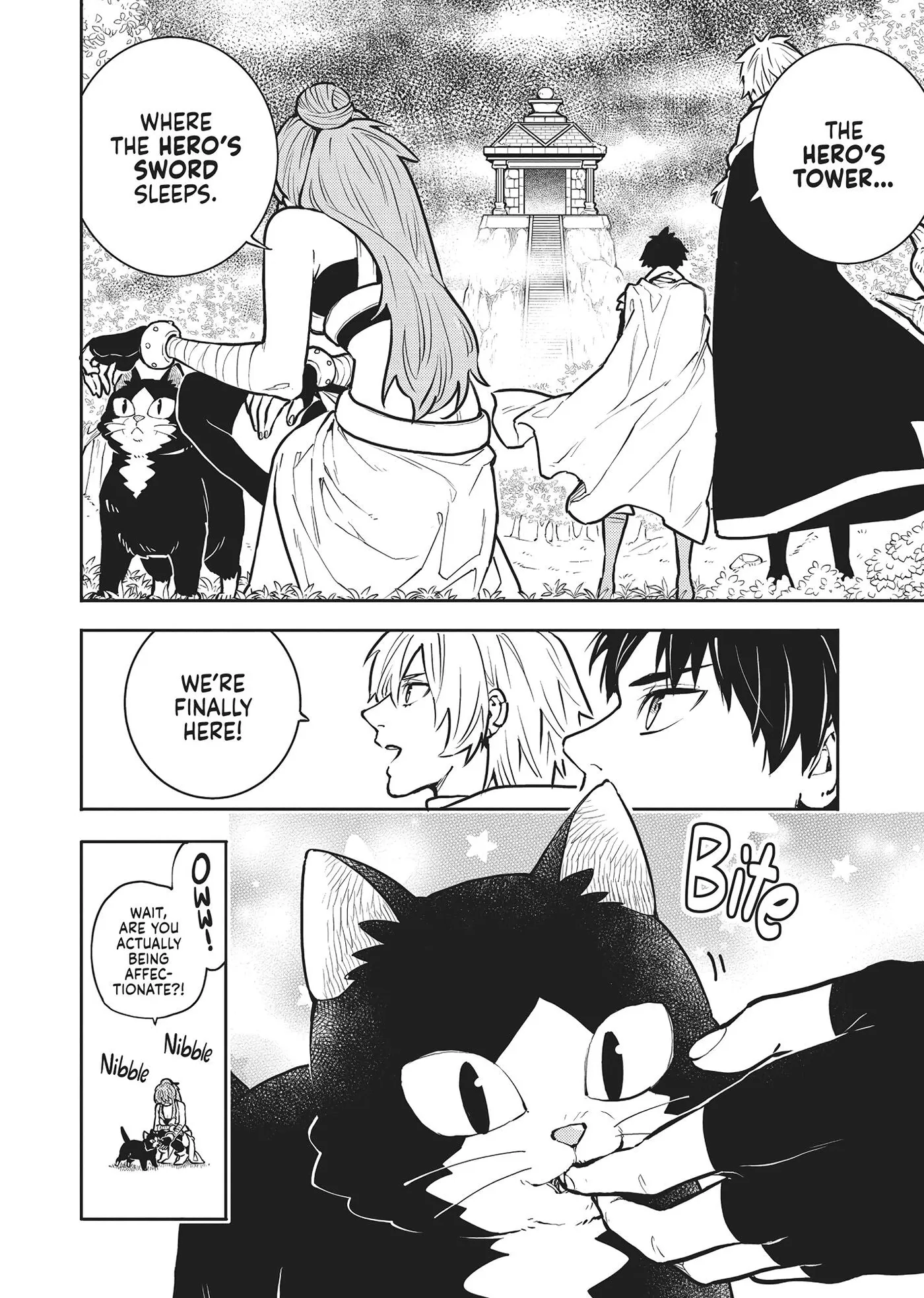 Cat on the Hero