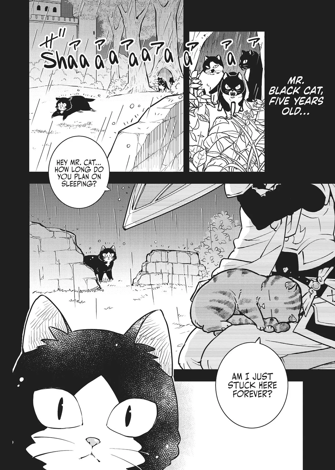 Cat on the Hero
