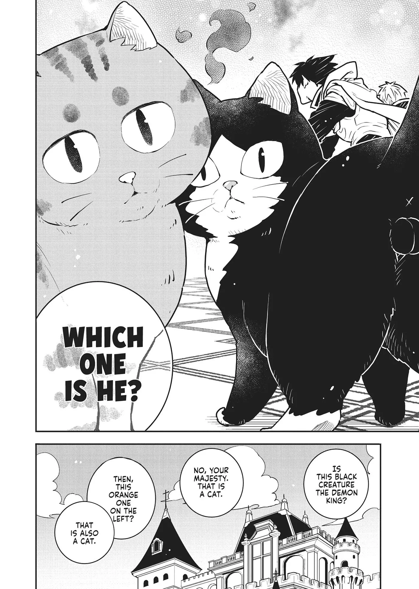 Cat on the Hero