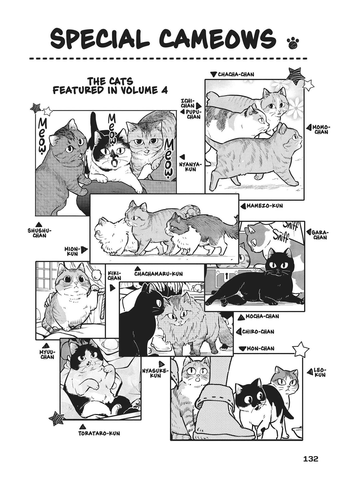 Cat on the Hero