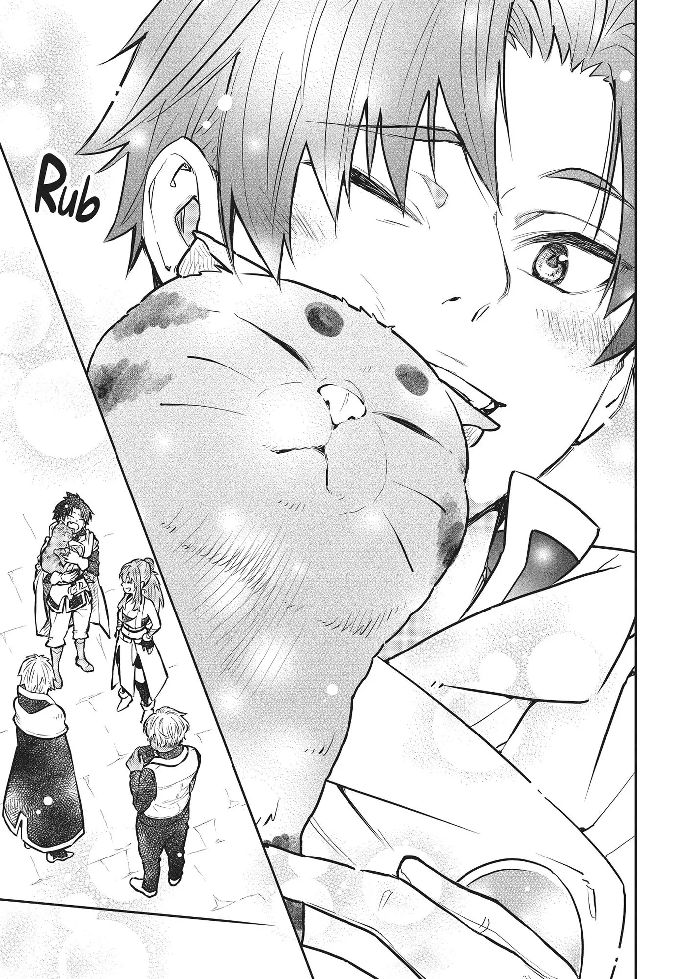 Cat on the Hero