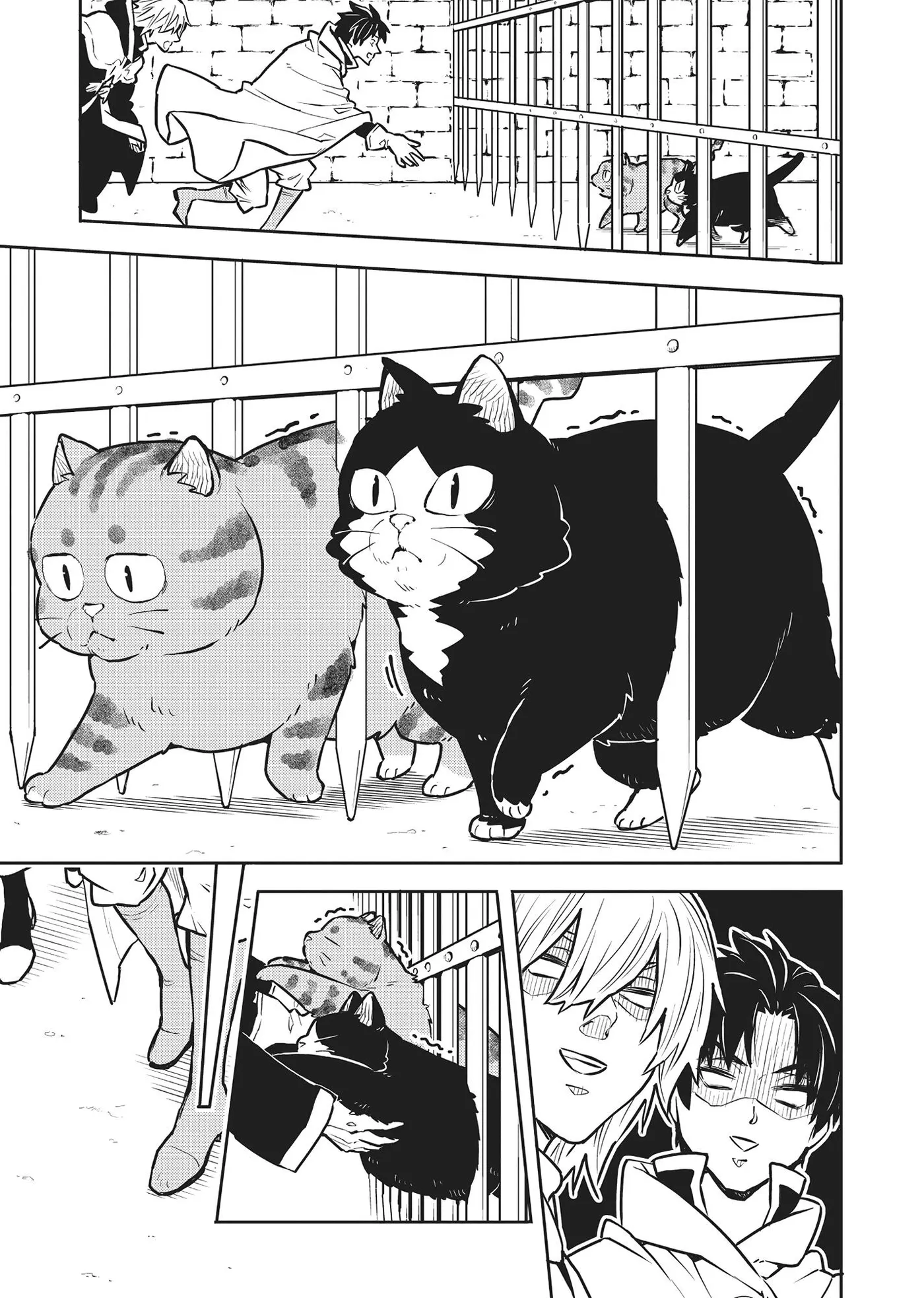 Cat on the Hero