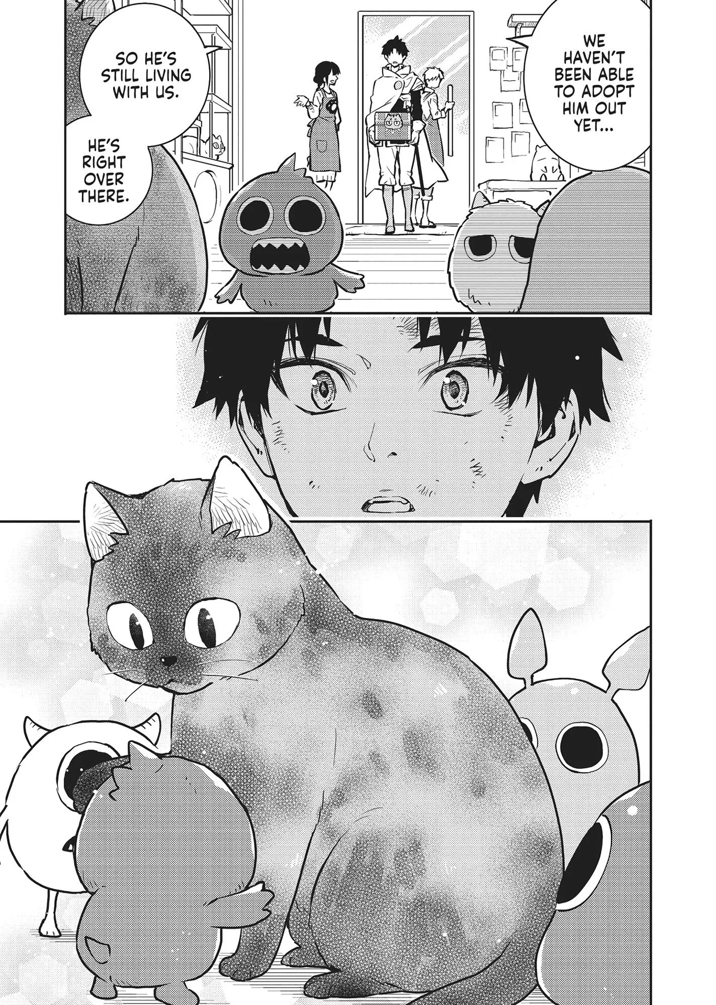 Cat on the Hero