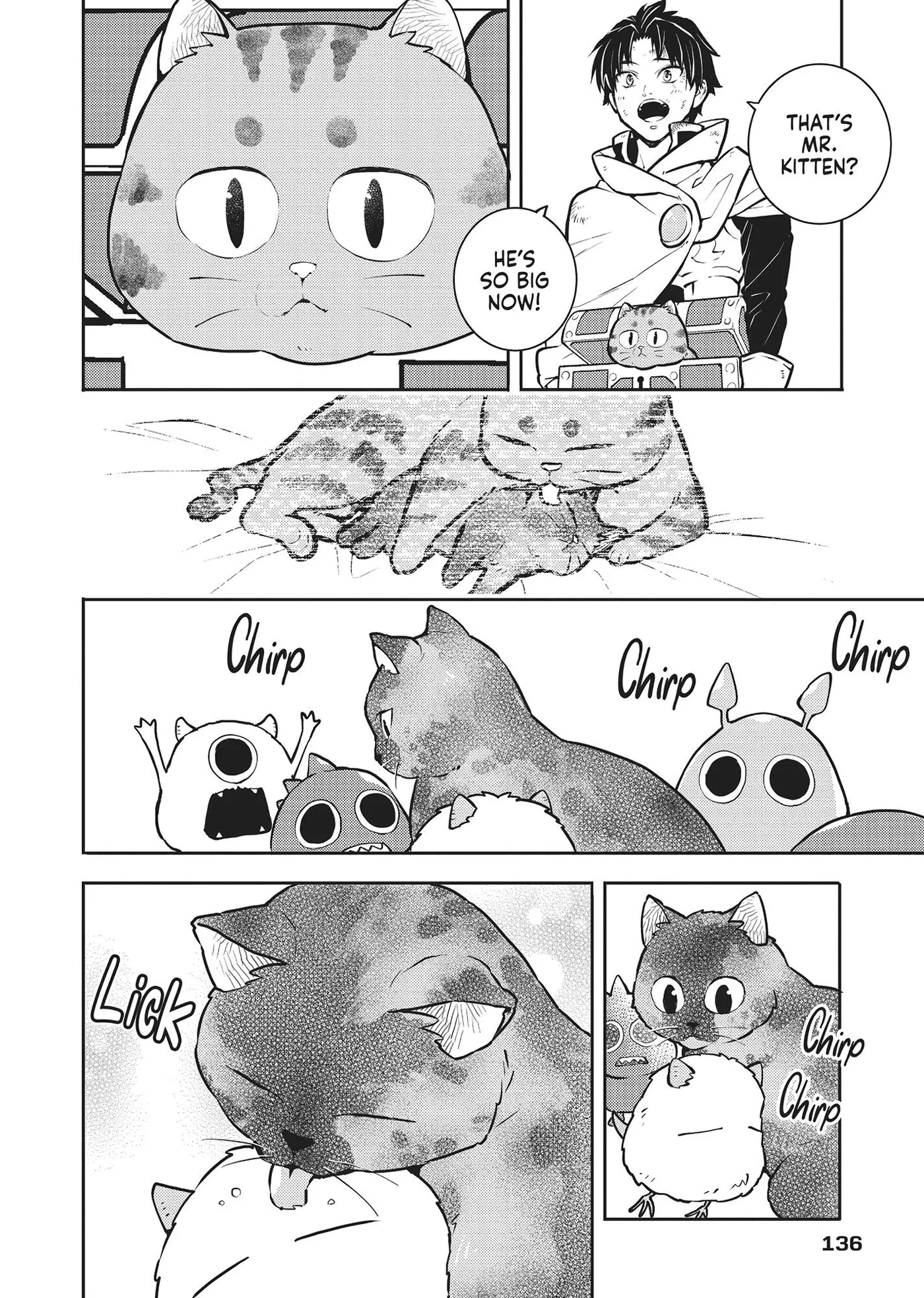 Cat on the Hero