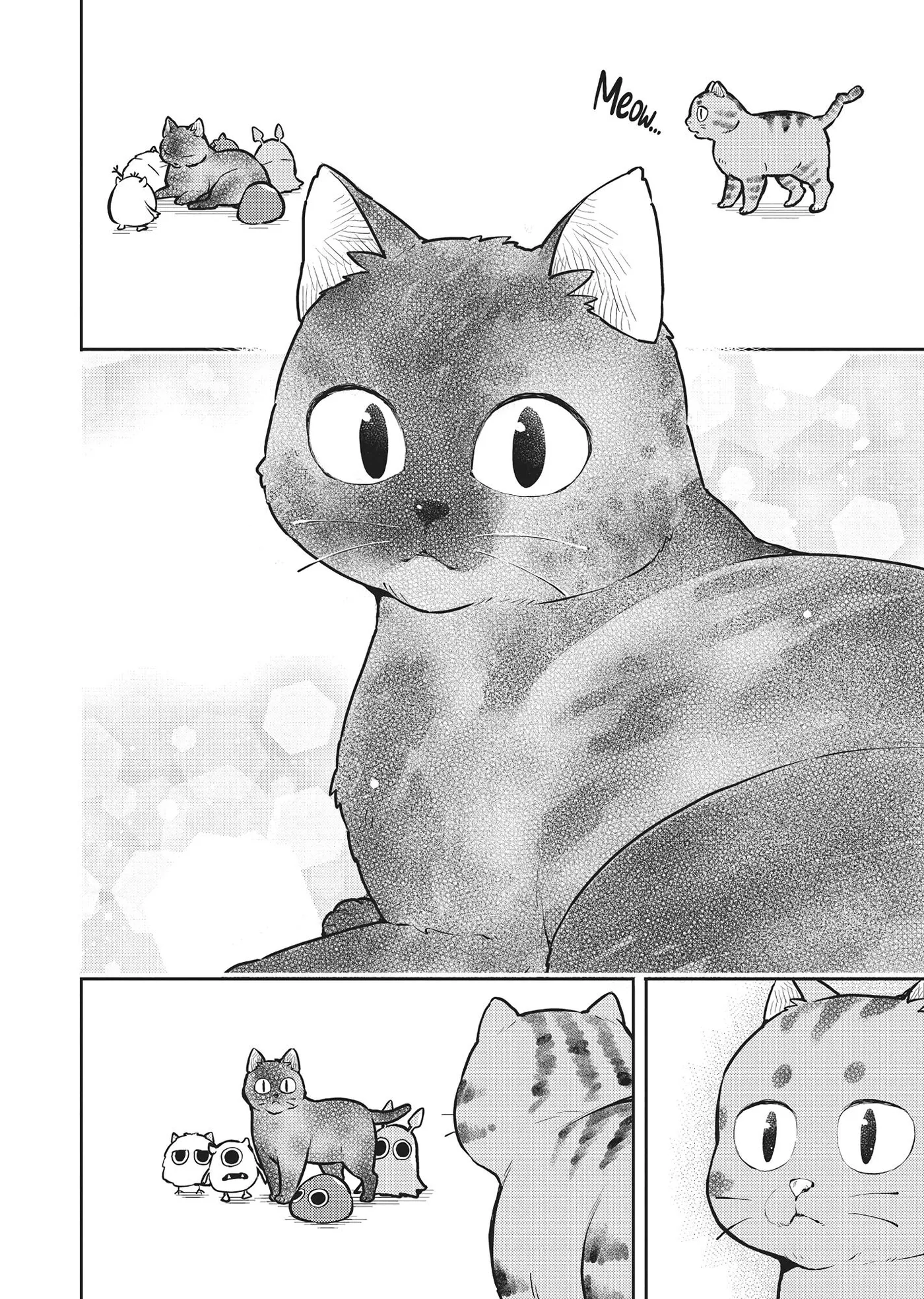 Cat on the Hero