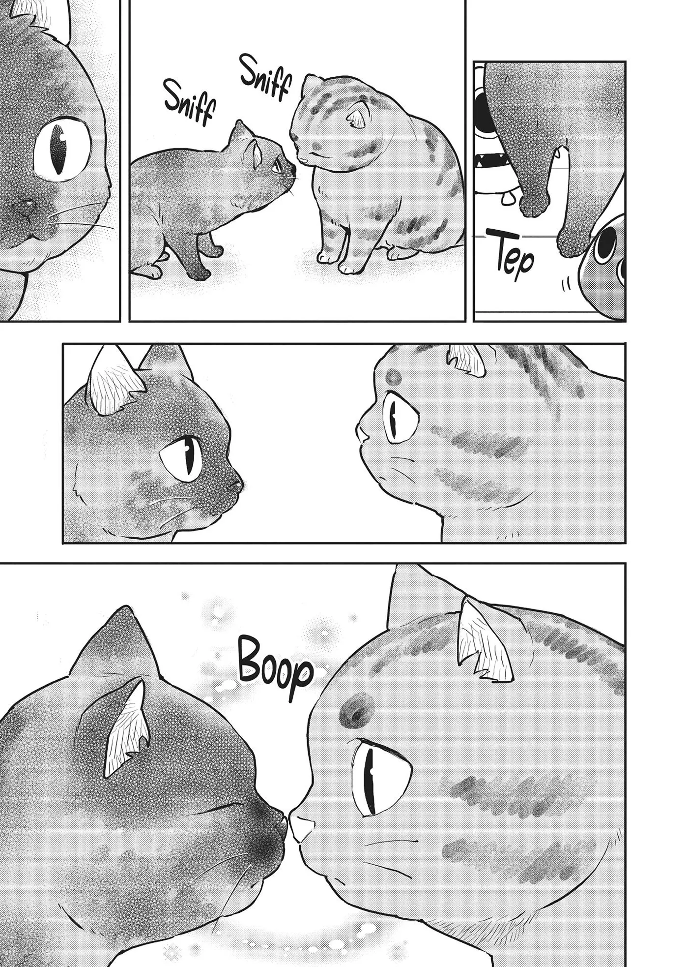 Cat on the Hero