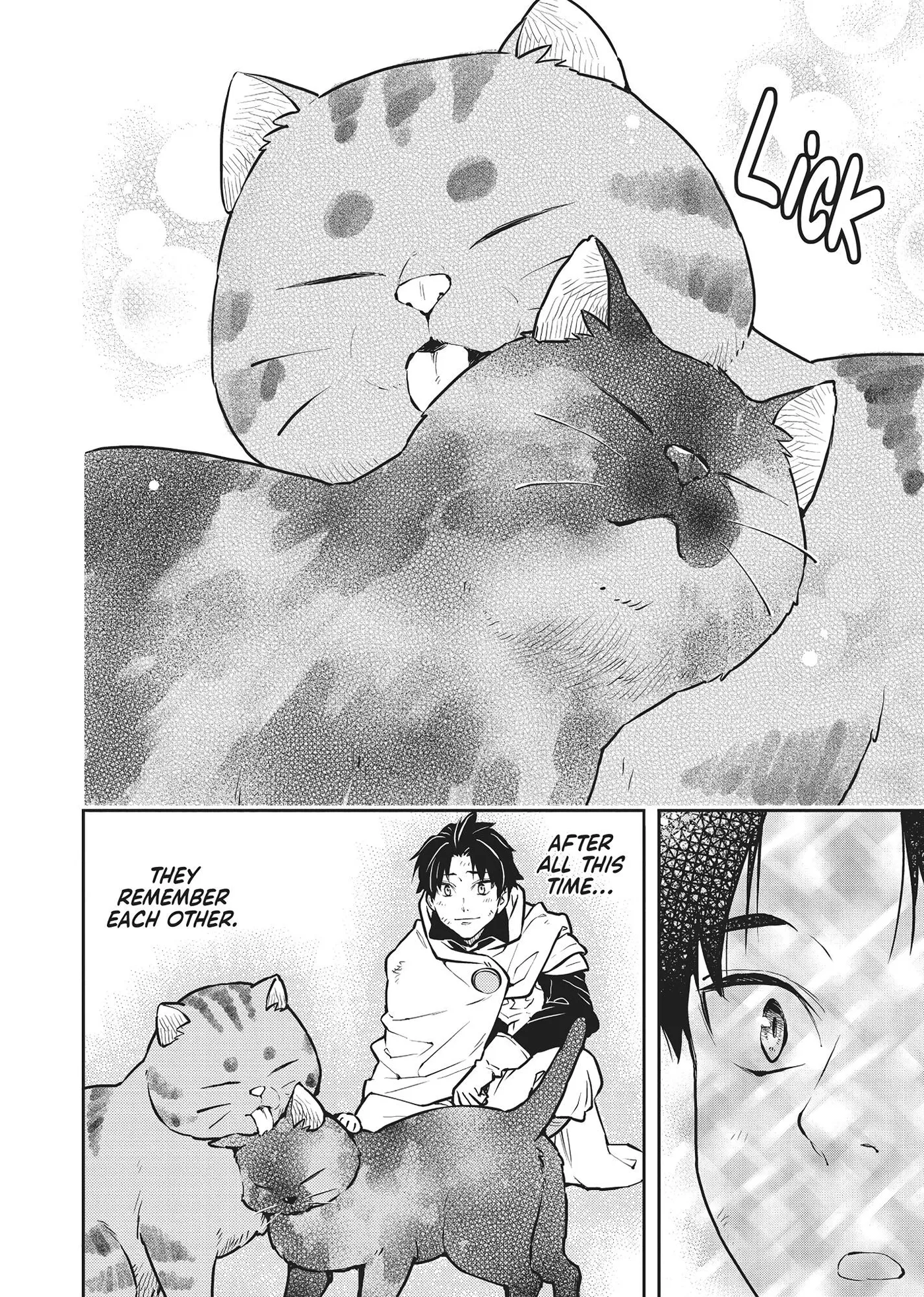 Cat on the Hero