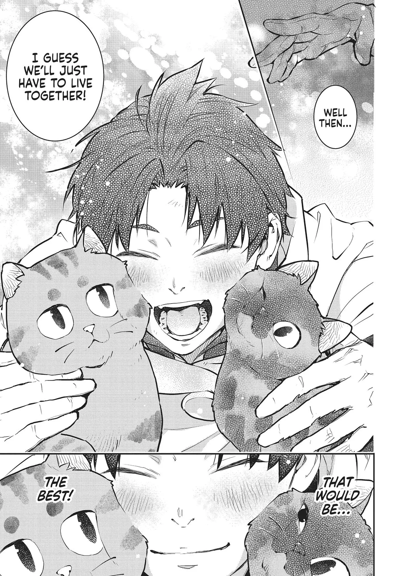 Cat on the Hero