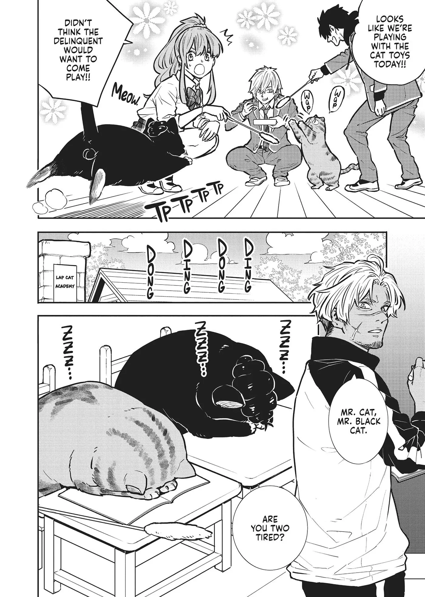 Cat on the Hero