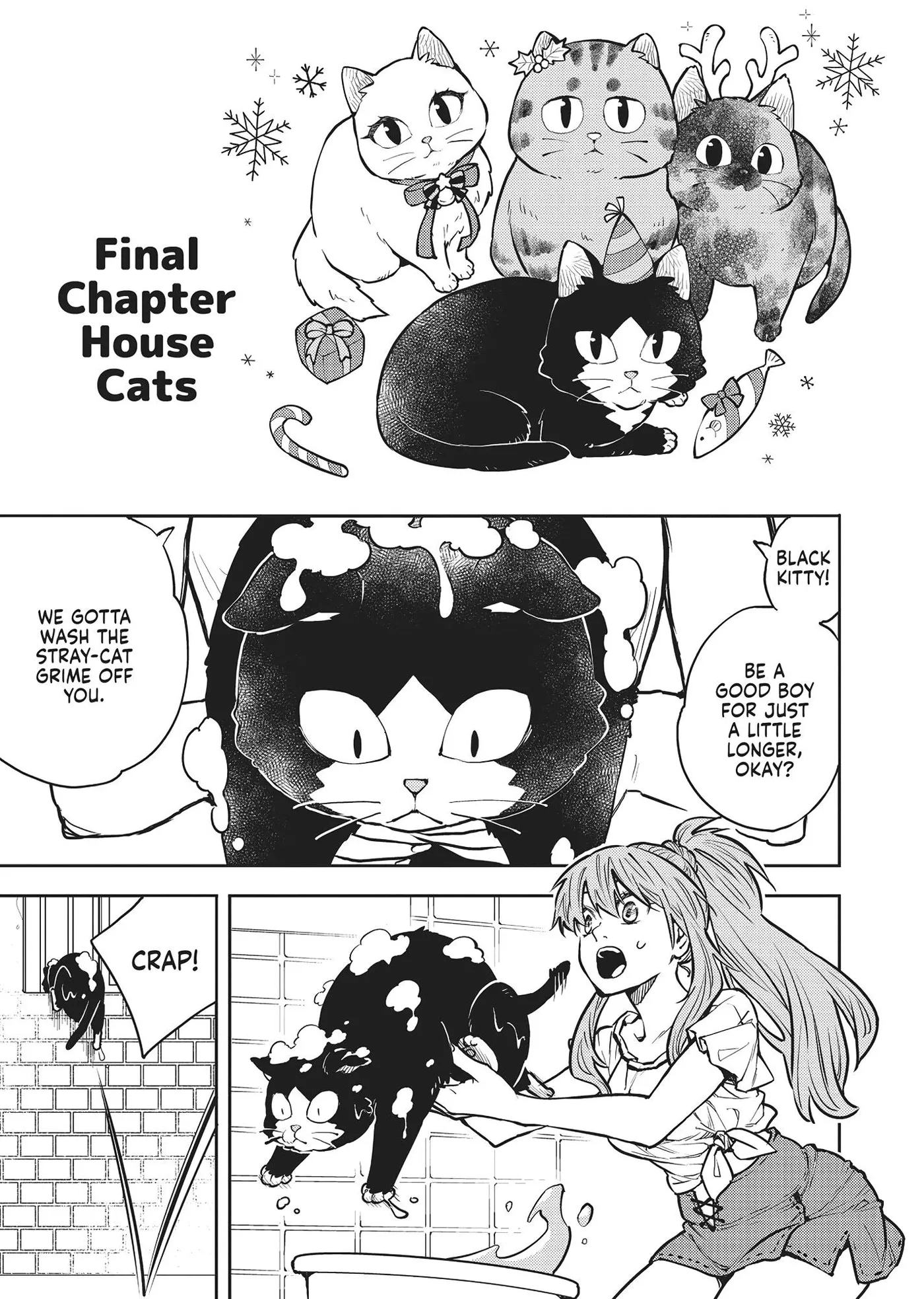 Cat on the Hero