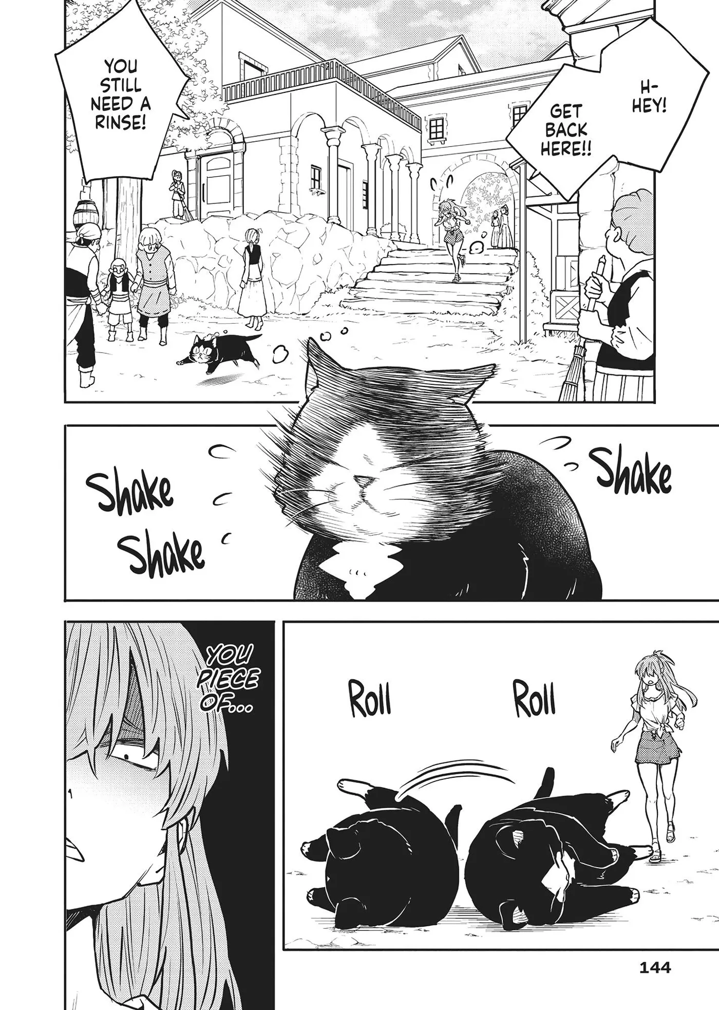 Cat on the Hero