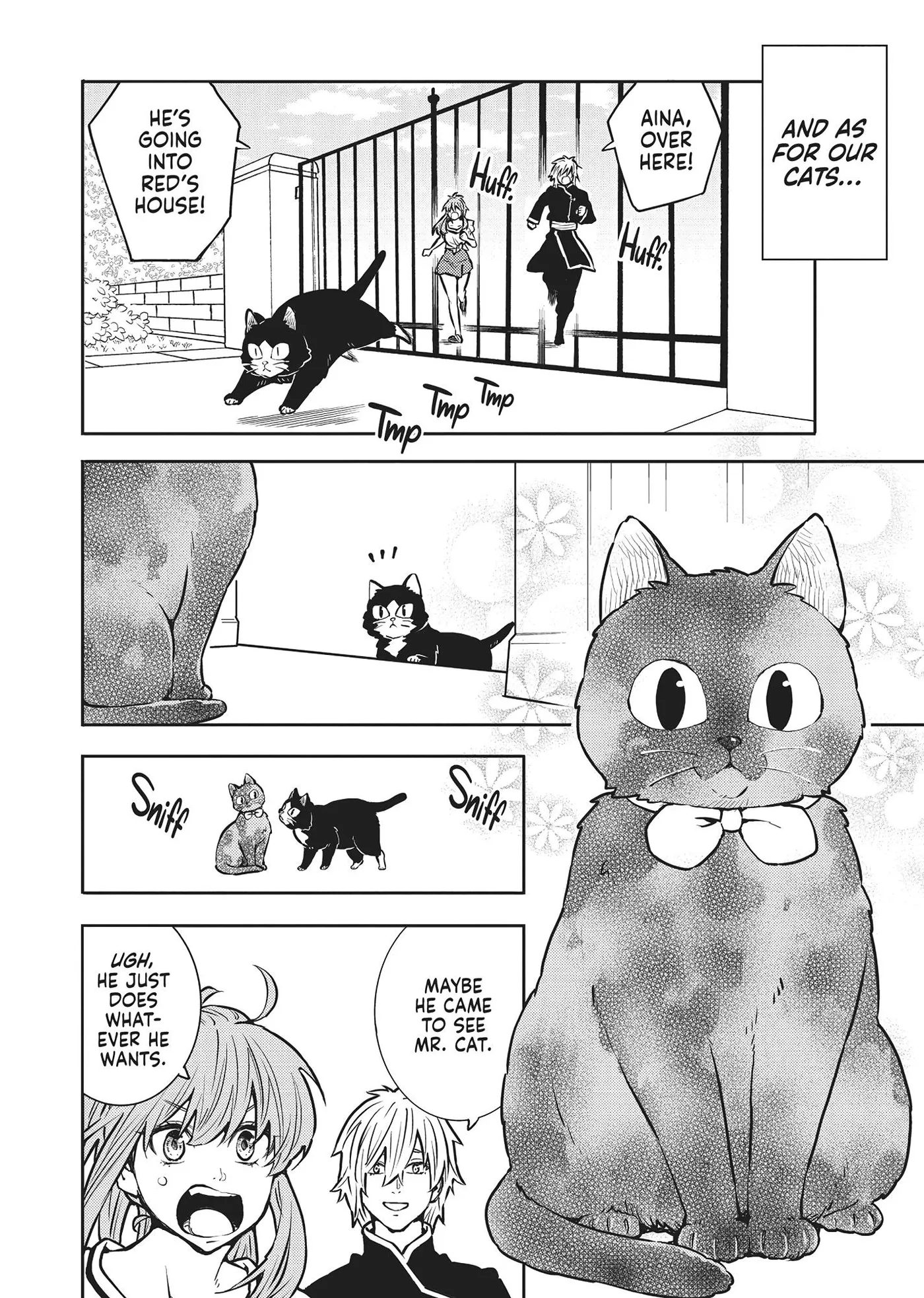 Cat on the Hero