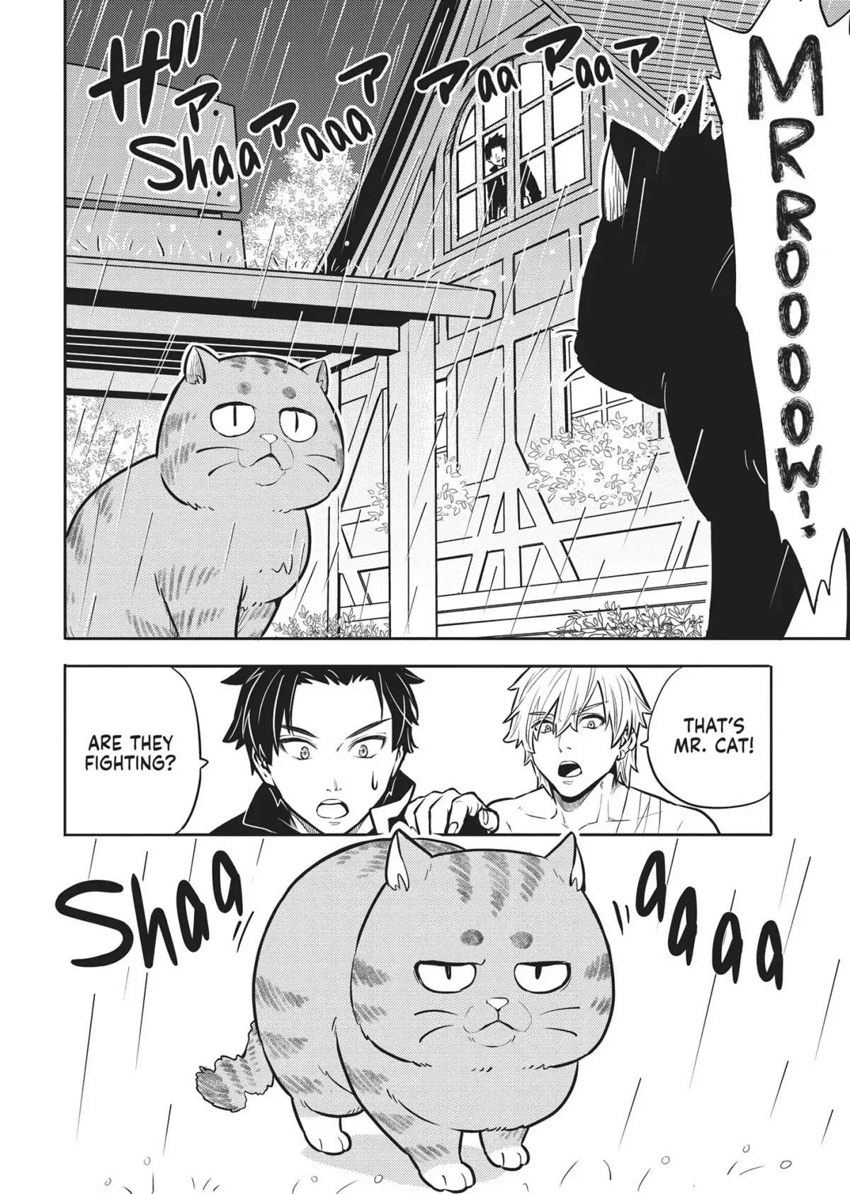 Cat on the Hero