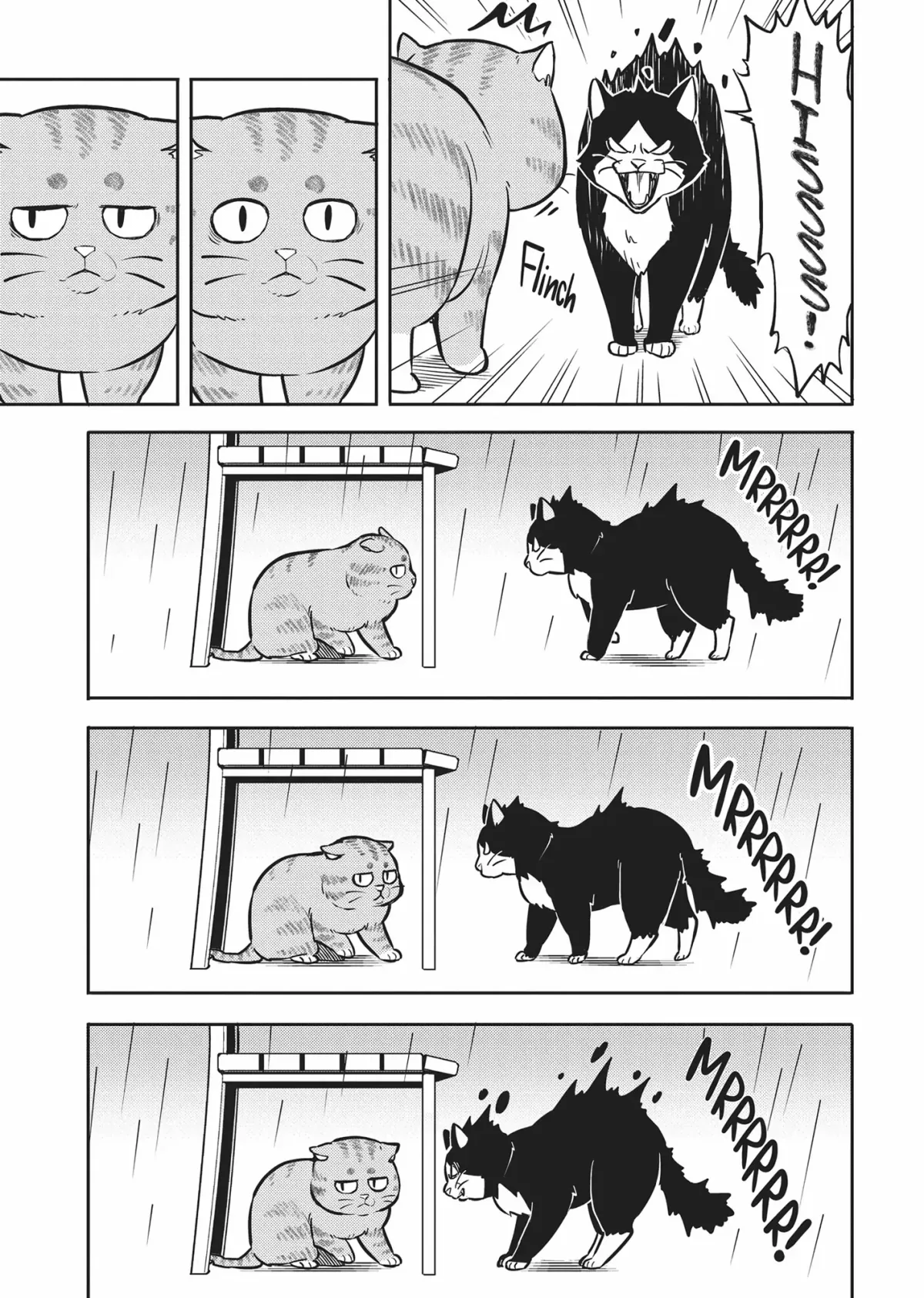 Cat on the Hero
