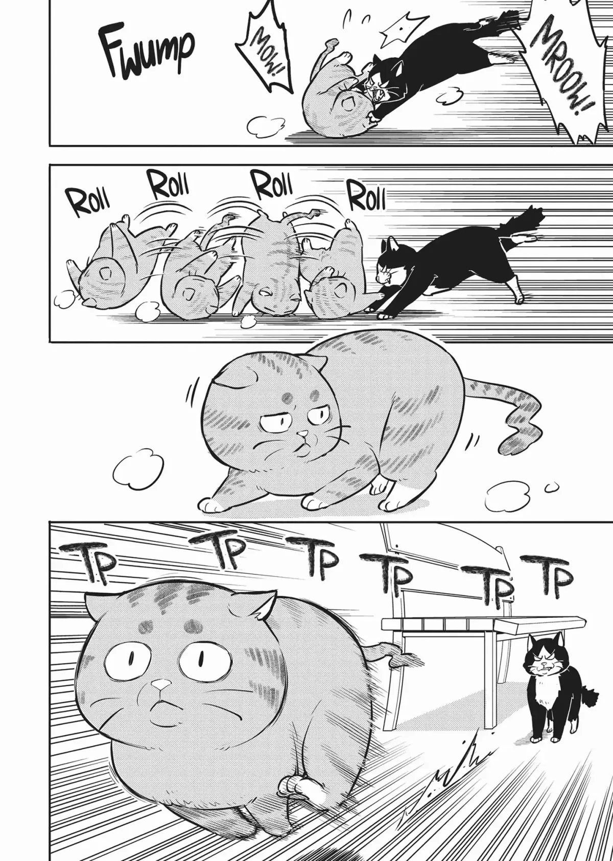 Cat on the Hero