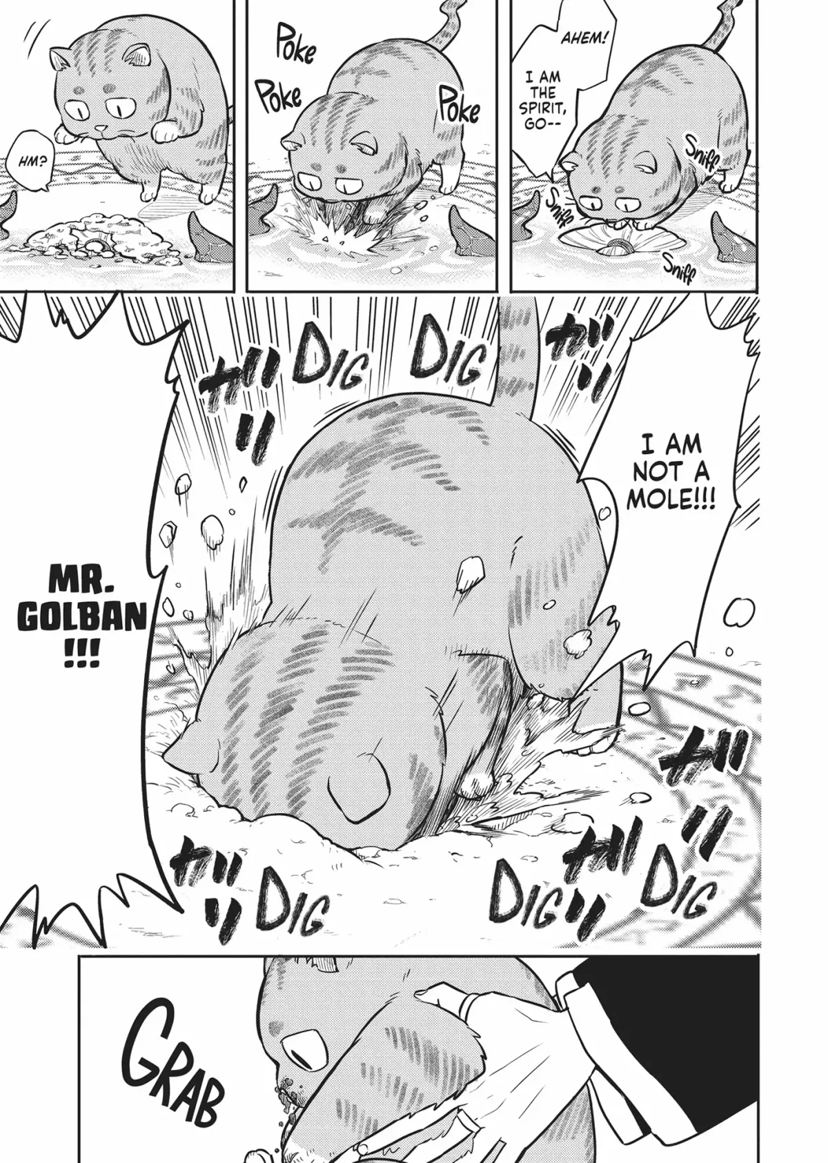 Cat on the Hero