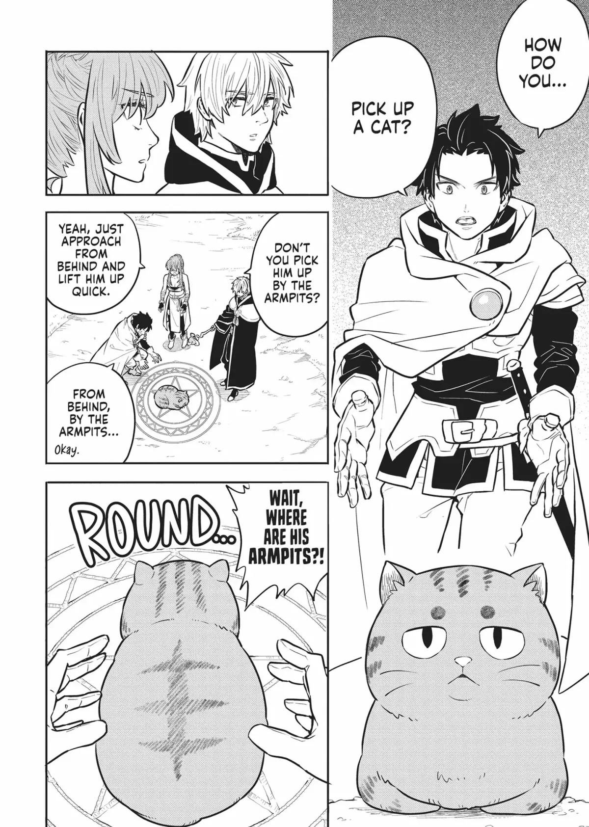 Cat on the Hero