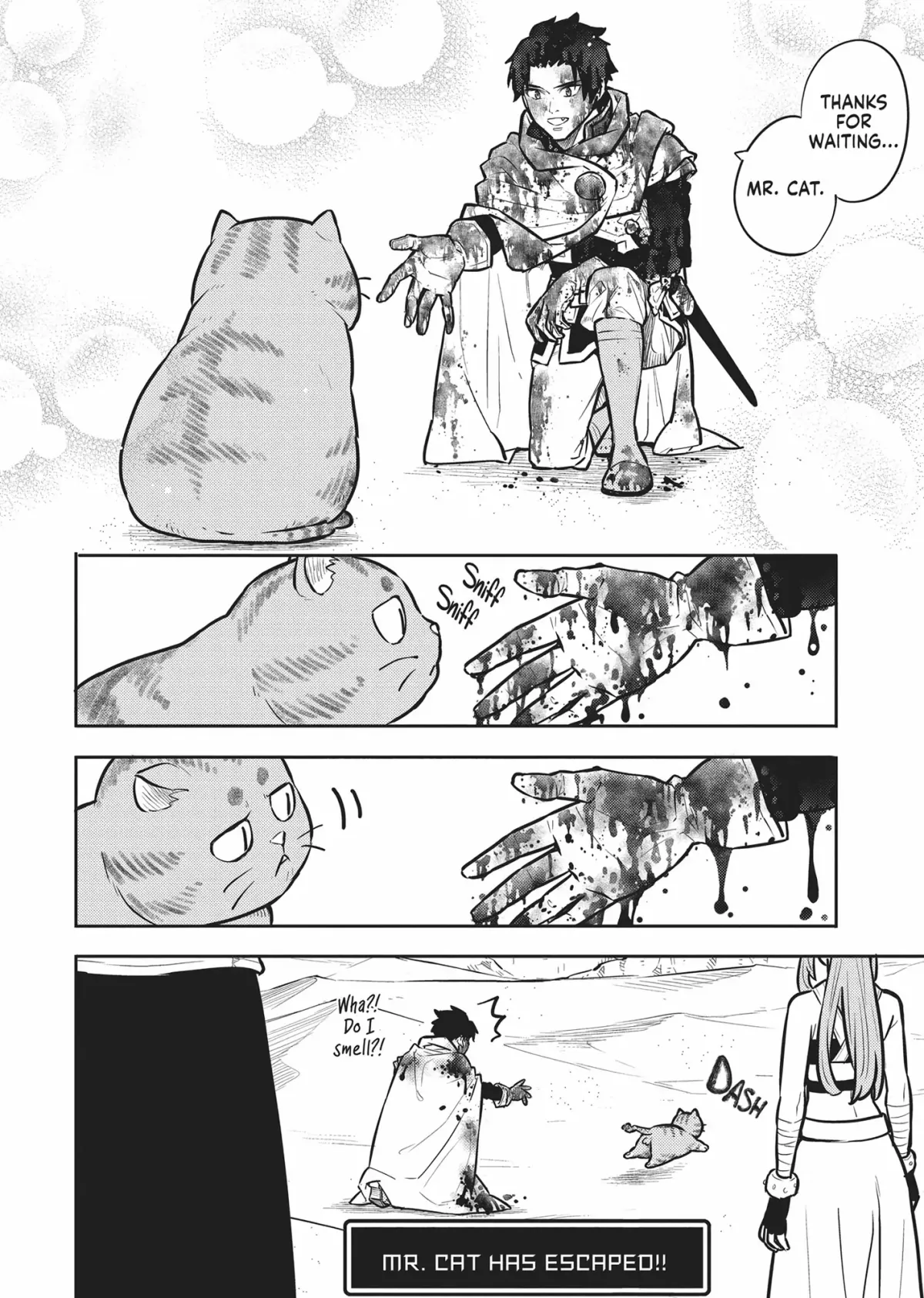 Cat on the Hero