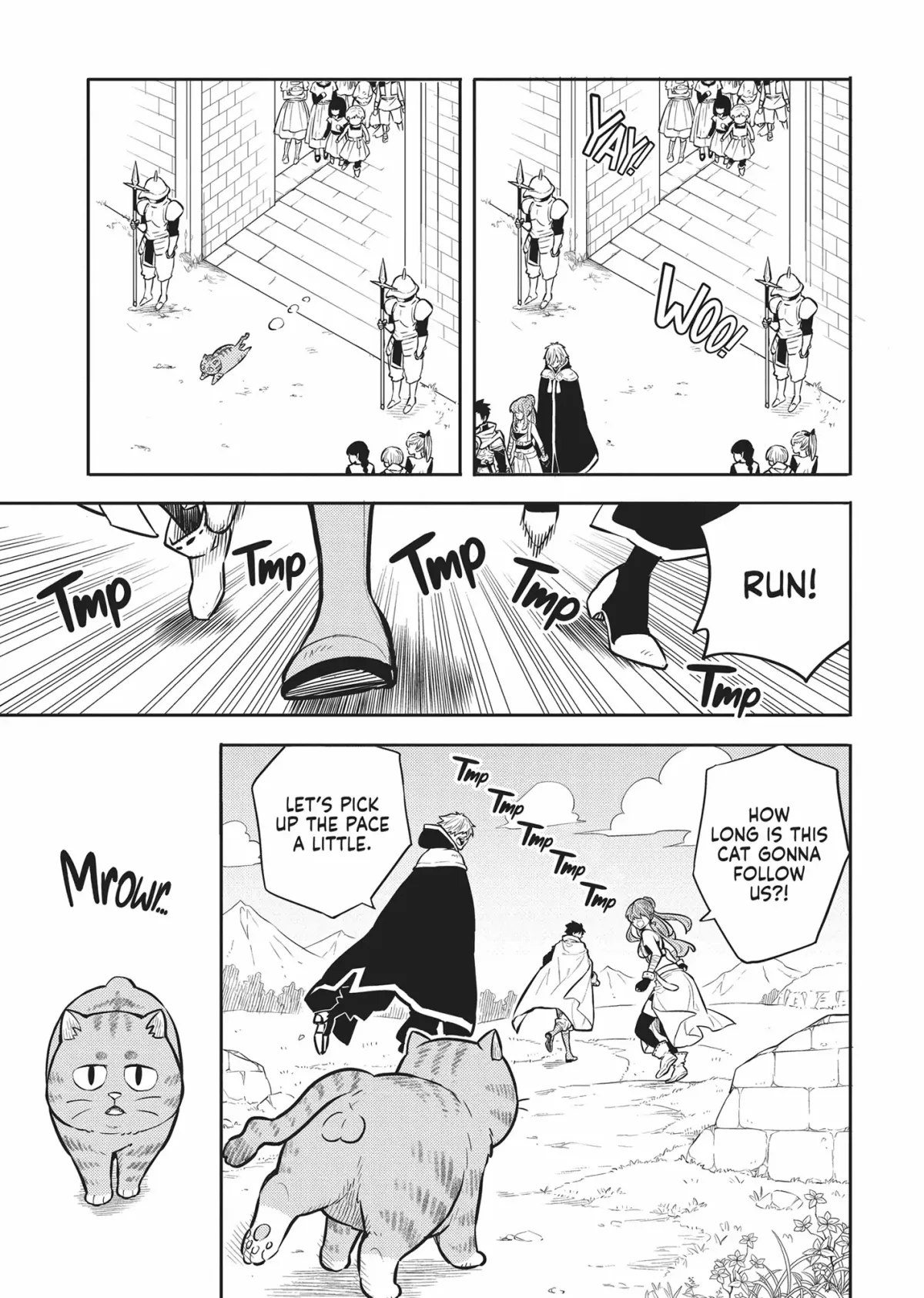 Cat on the Hero